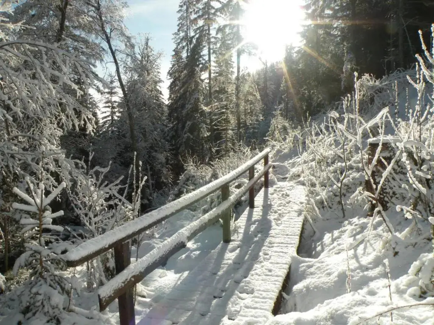 Urlaub im Zirbenland