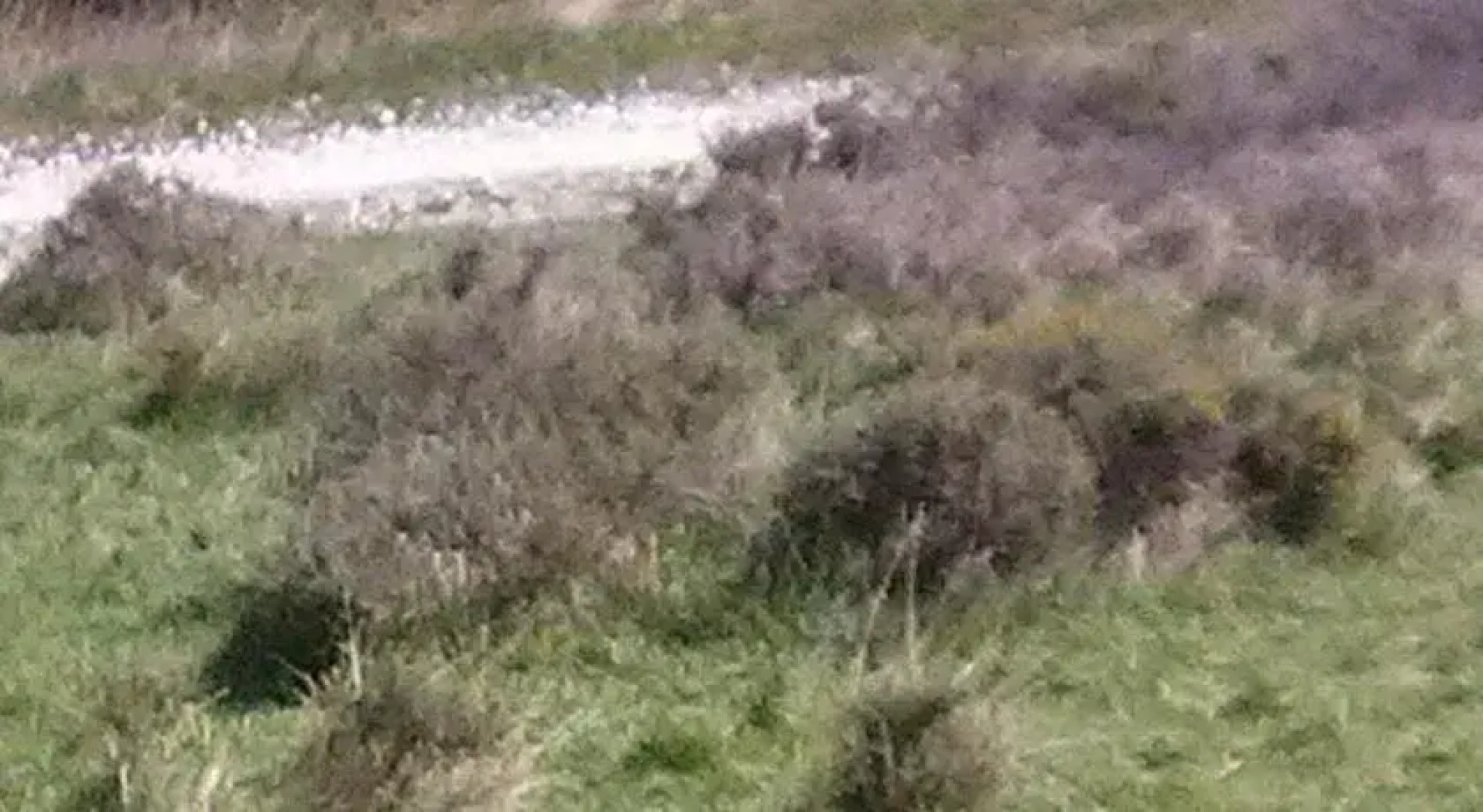 Hostal Rural Huartearena