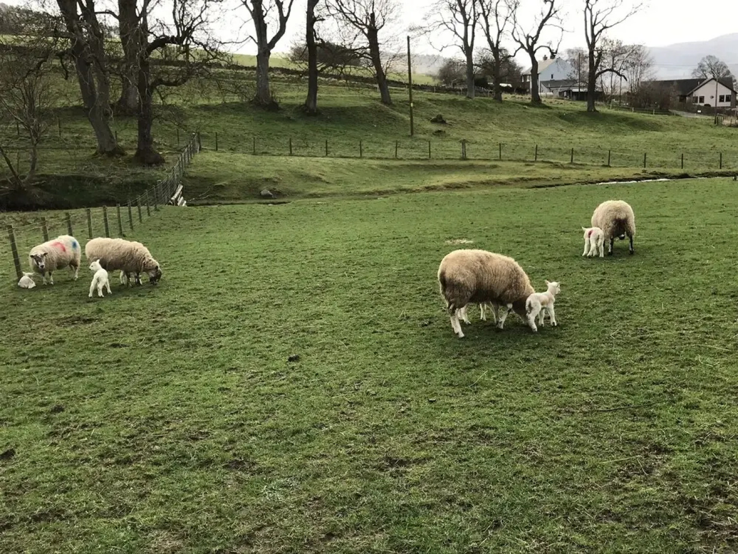 Winkston Courtyard Cottages