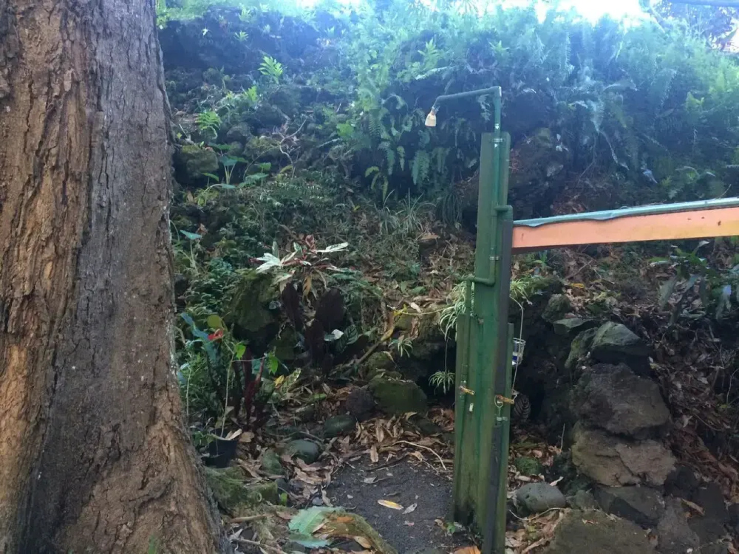 SweetSpotStay-Enchanted Grotto