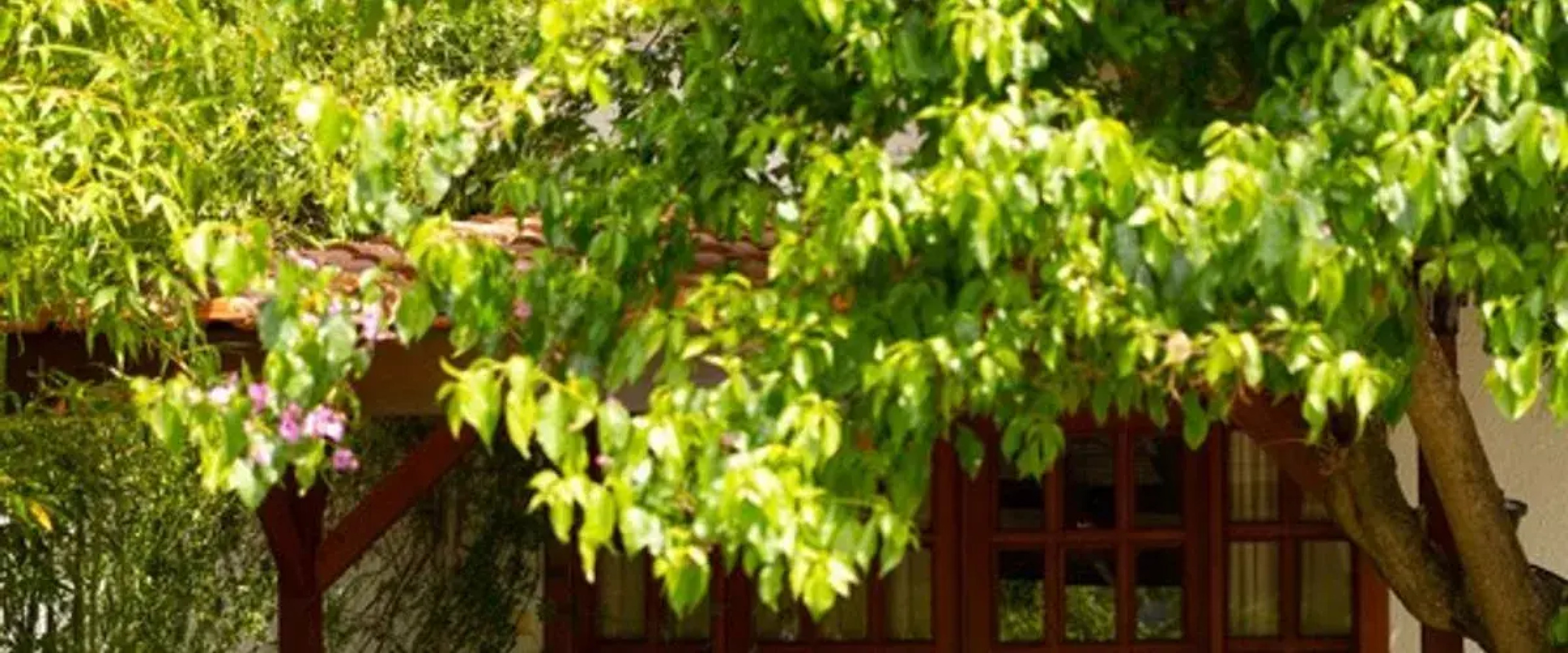 Akdeniz Bahcesi Butik Apart Hotel