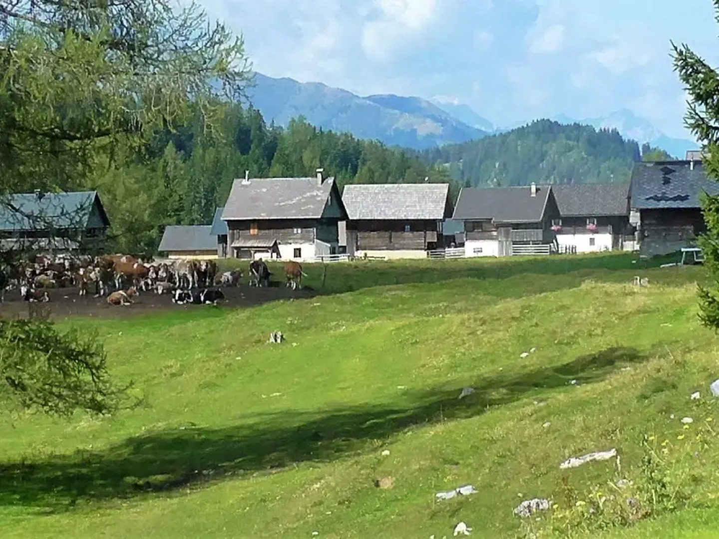 Spacious Apartment in Hermagor near Nassfeld-Pressegger