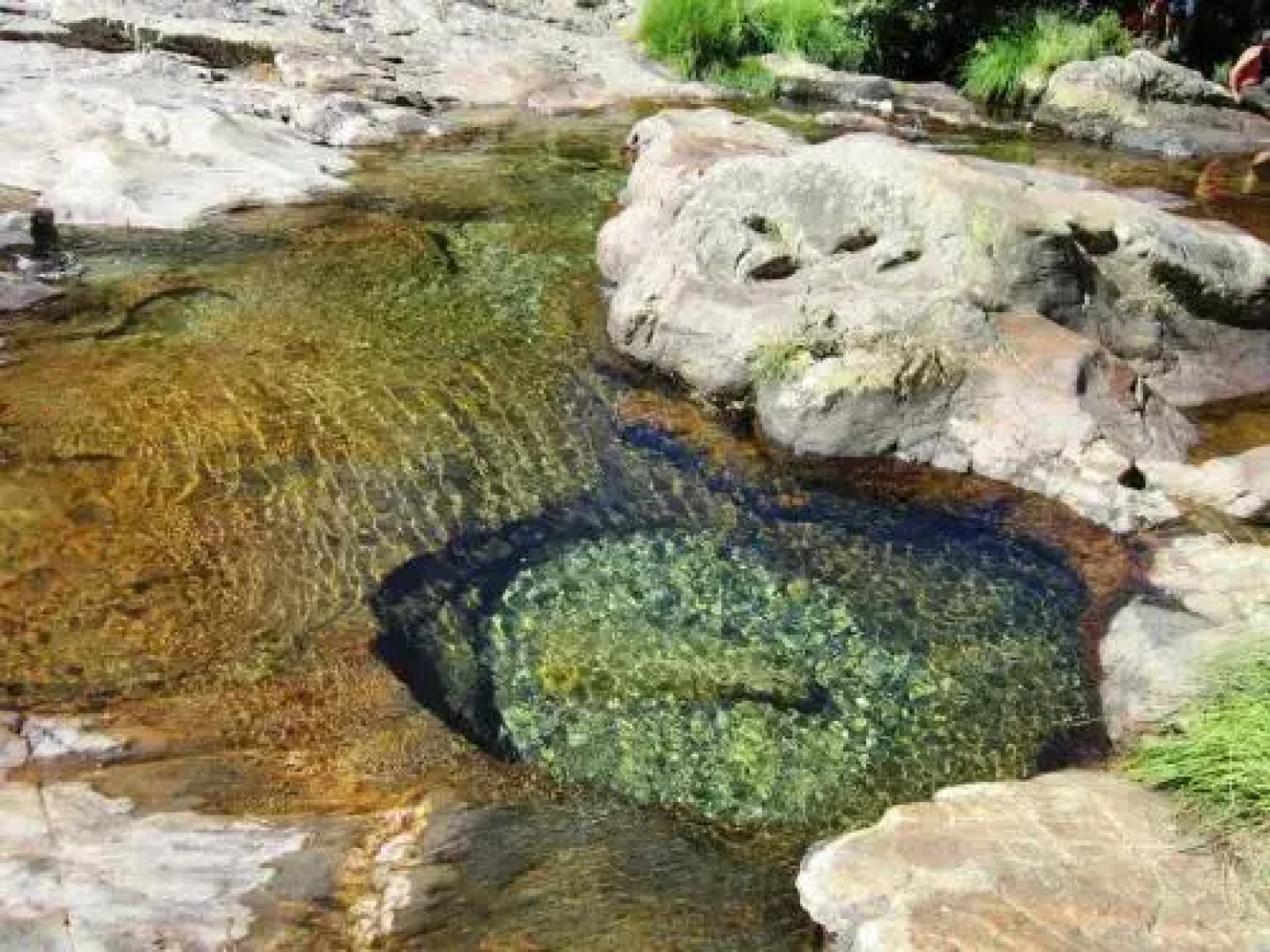Holiday home Camélias de Basto