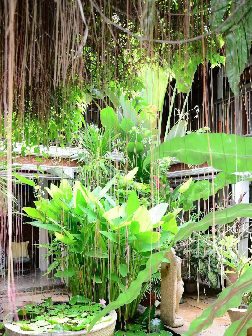 White House Beach Resort And Spa