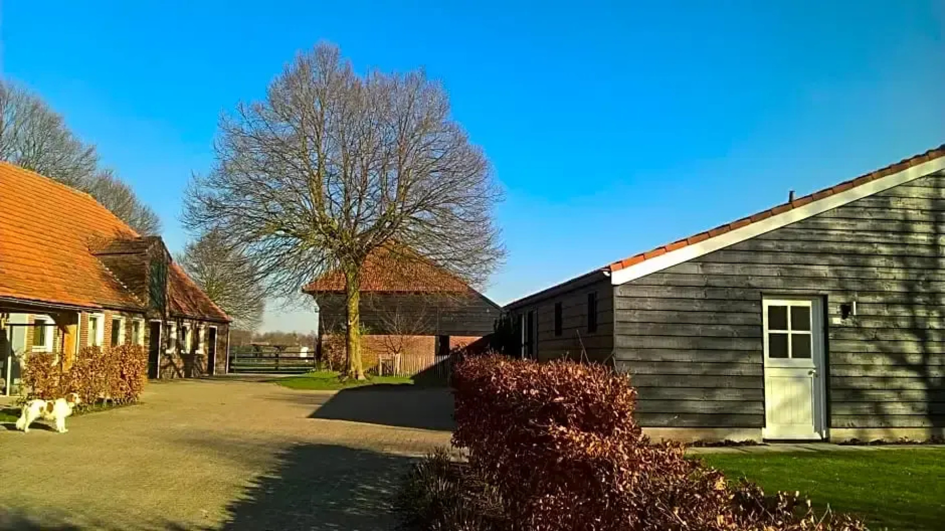 Boeren Burgers Buitenlui