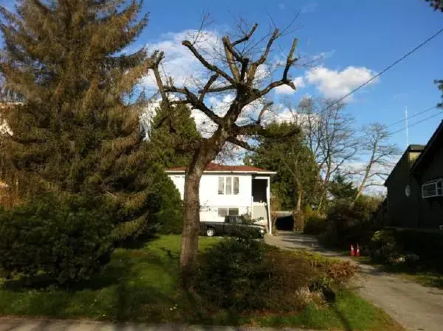 Vancouver Backpacker House