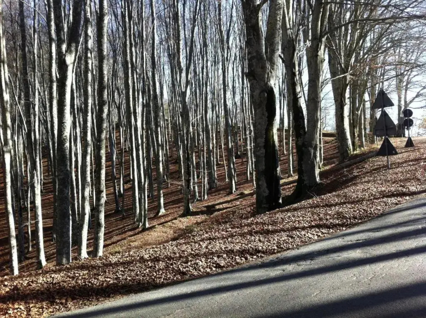 B&B da Ronald...a Pian del Papa