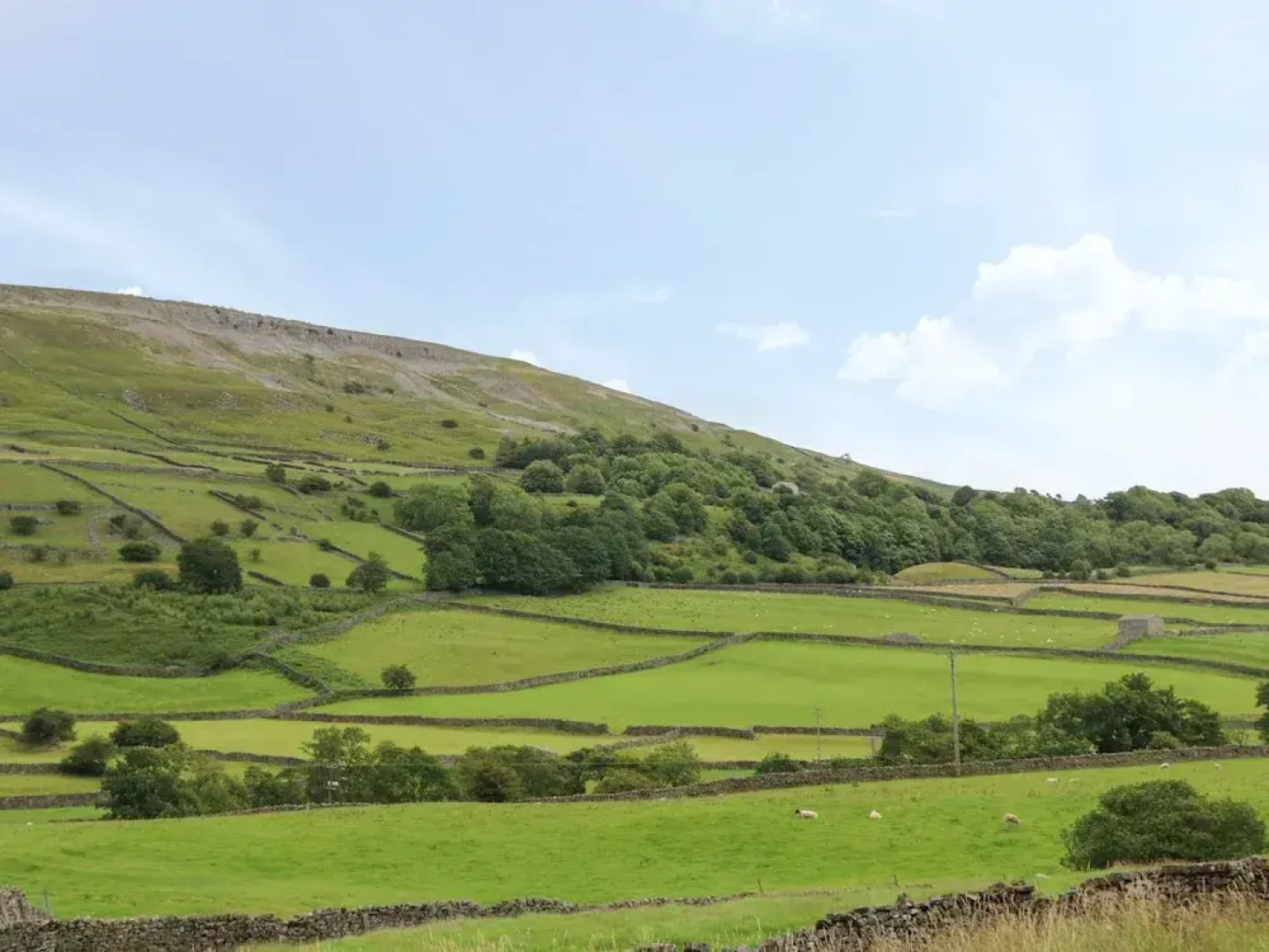 The Laurels Reeth