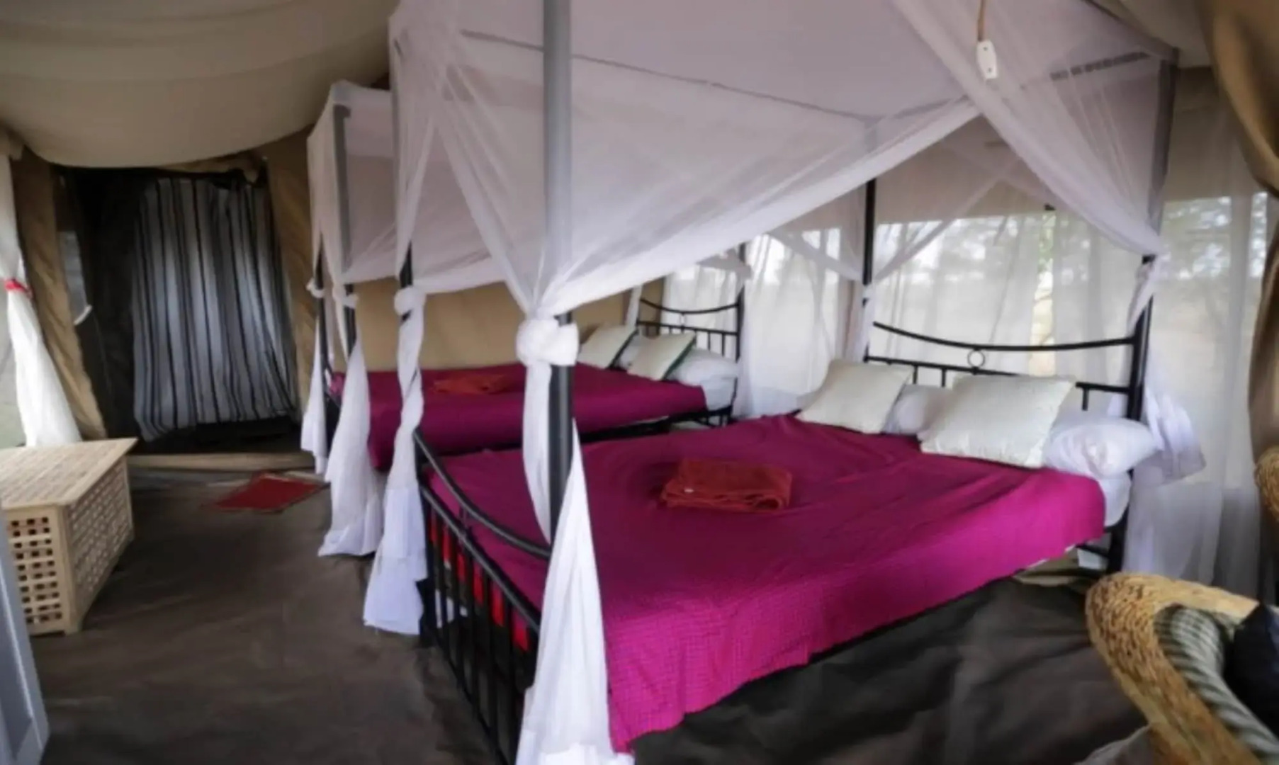 Serengeti Wildebeest Camp