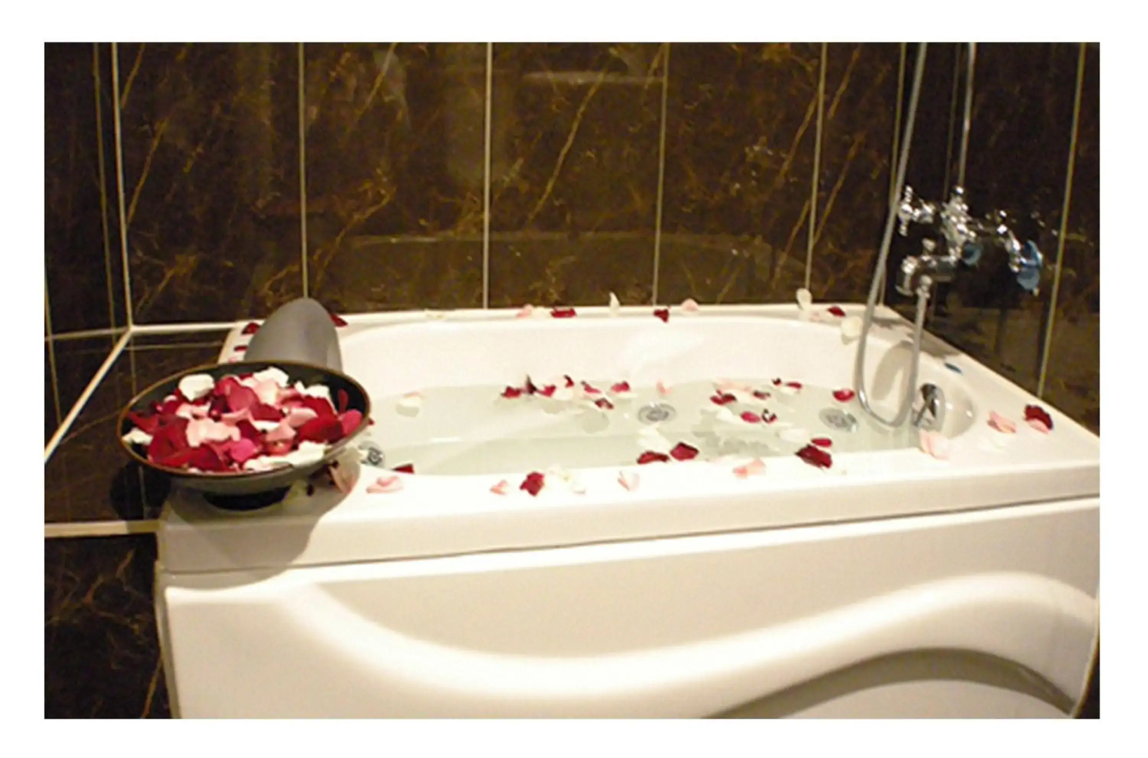 Fuchia Hotel