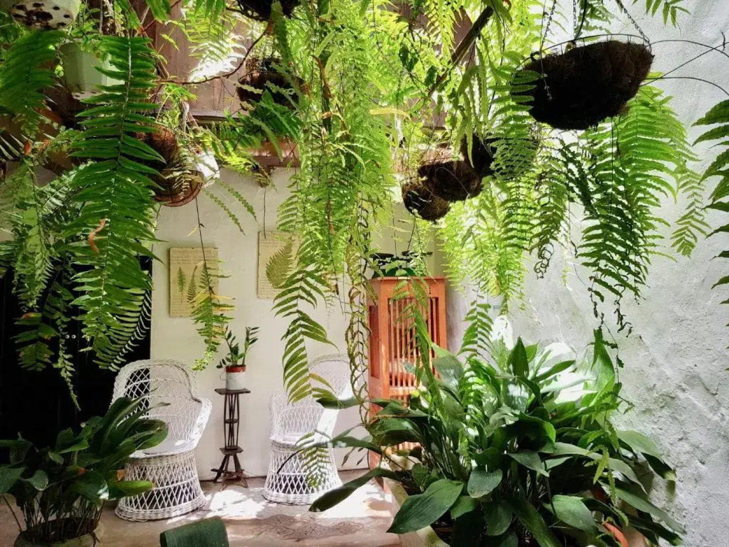 Emblemática Los Helechos