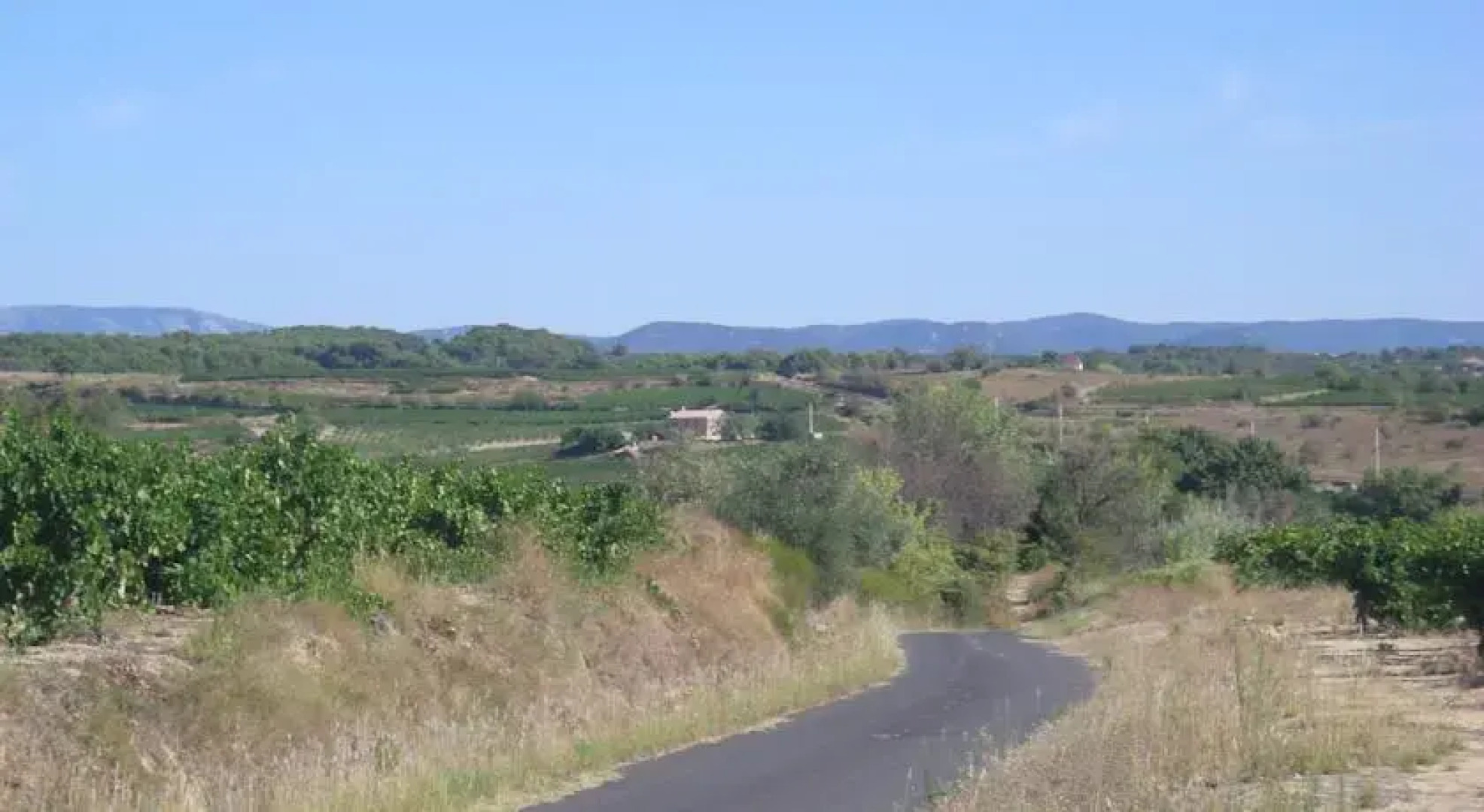 Domaine La Veronique