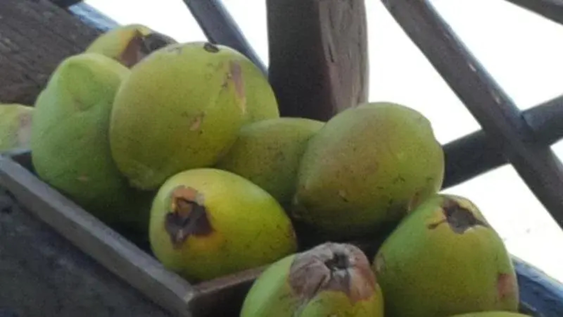 Hemingway Romantic Eco Resort