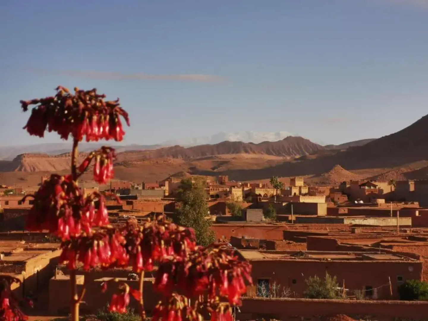 Riad Tigmi Du Soleil