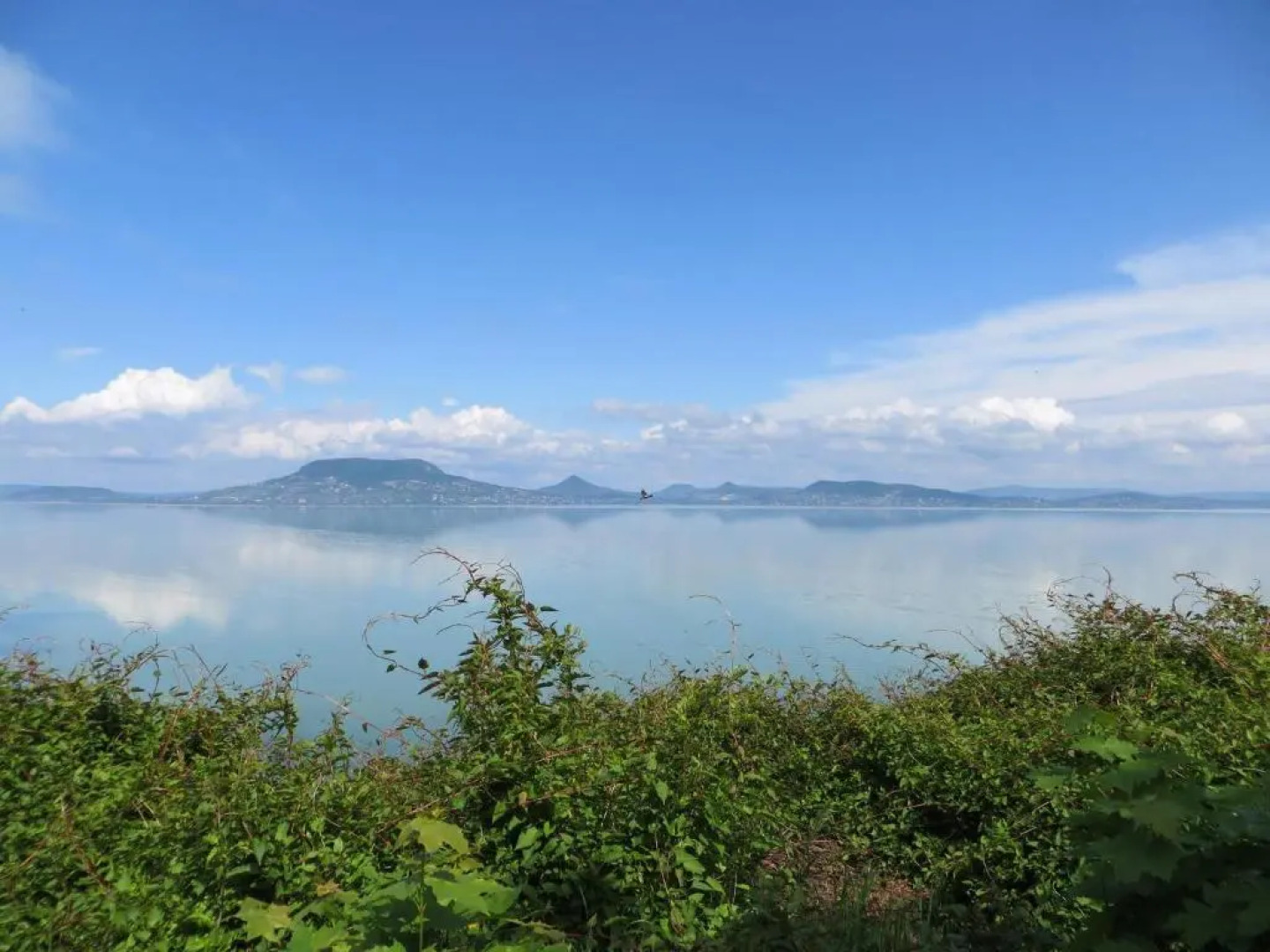 Bamboo Wellness Apartment