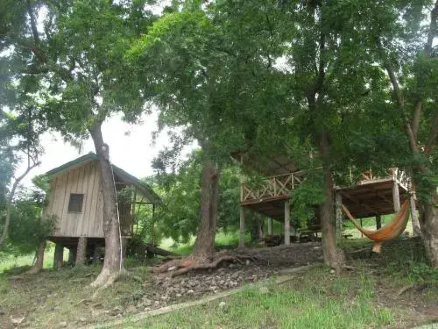 The Green Ranch