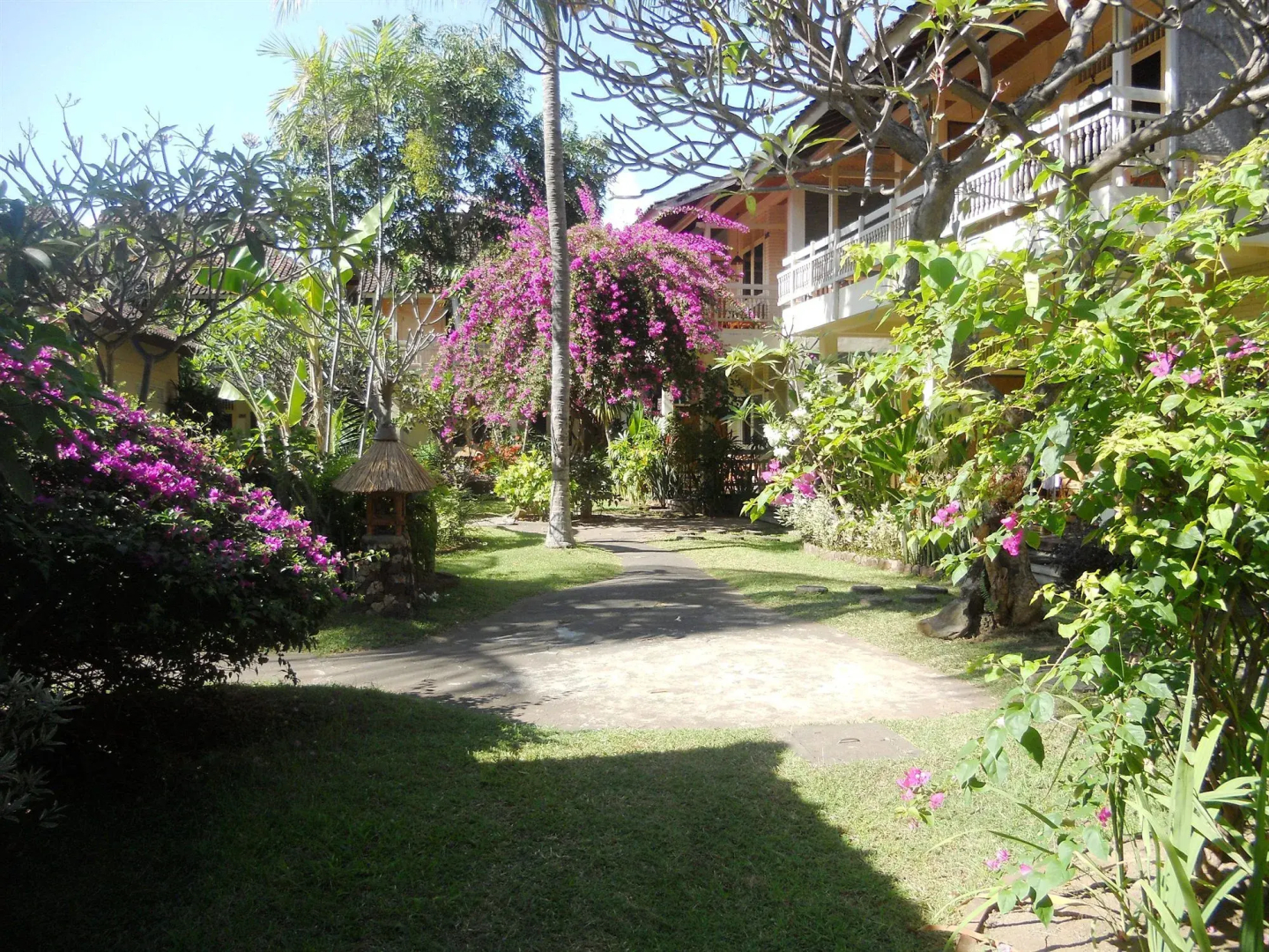 Bali Lovina Beach Cottages