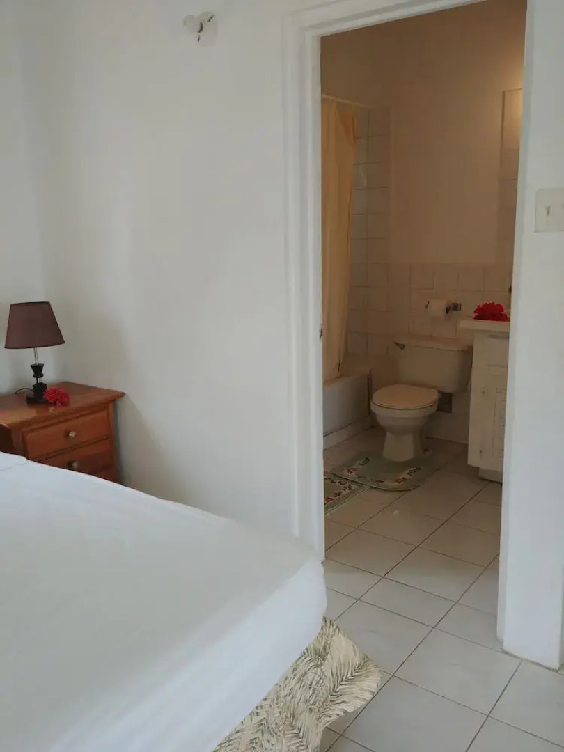 The Port Antonio Inn