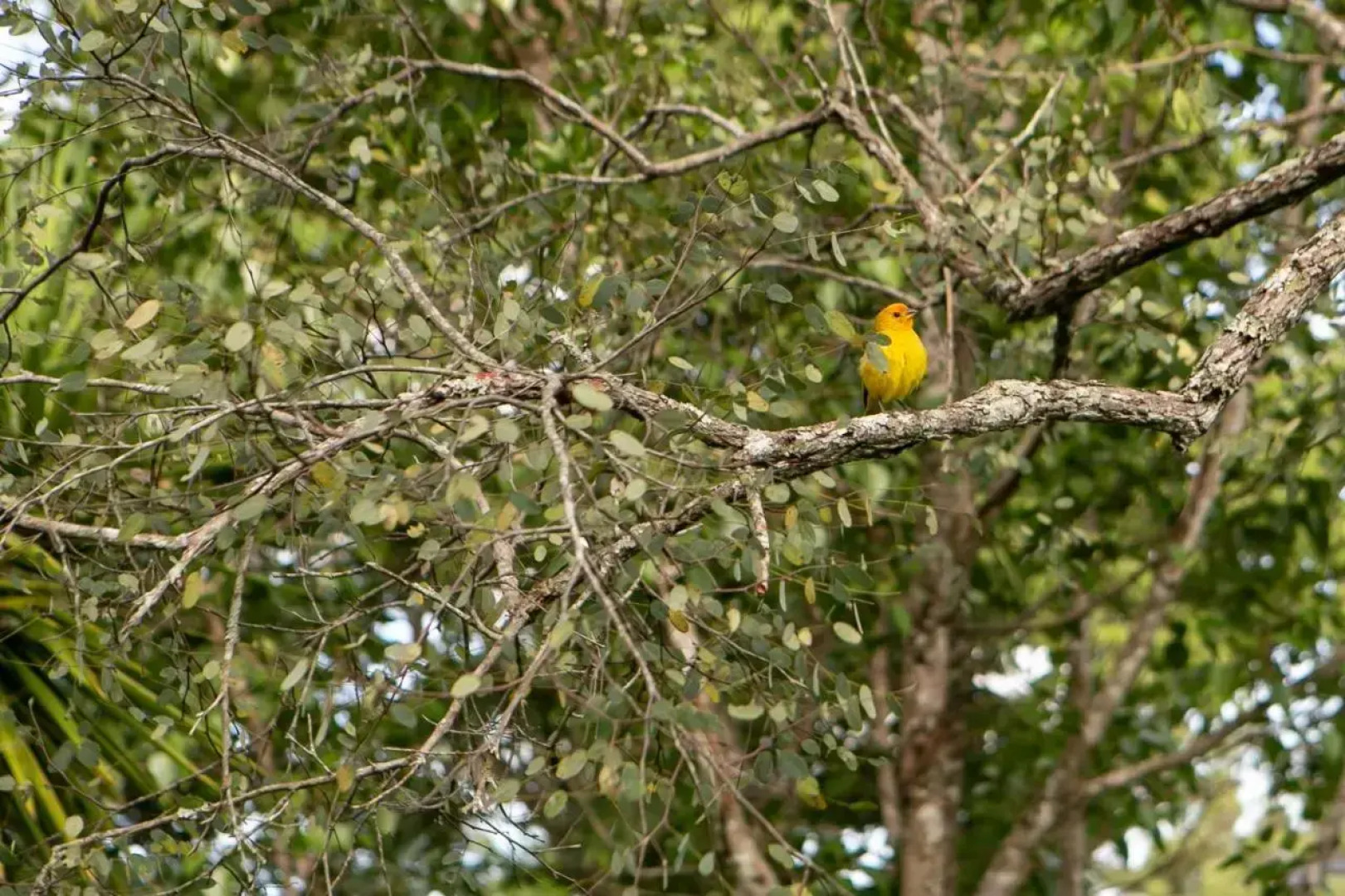 Fazenda Passaredo - Pousada Rural