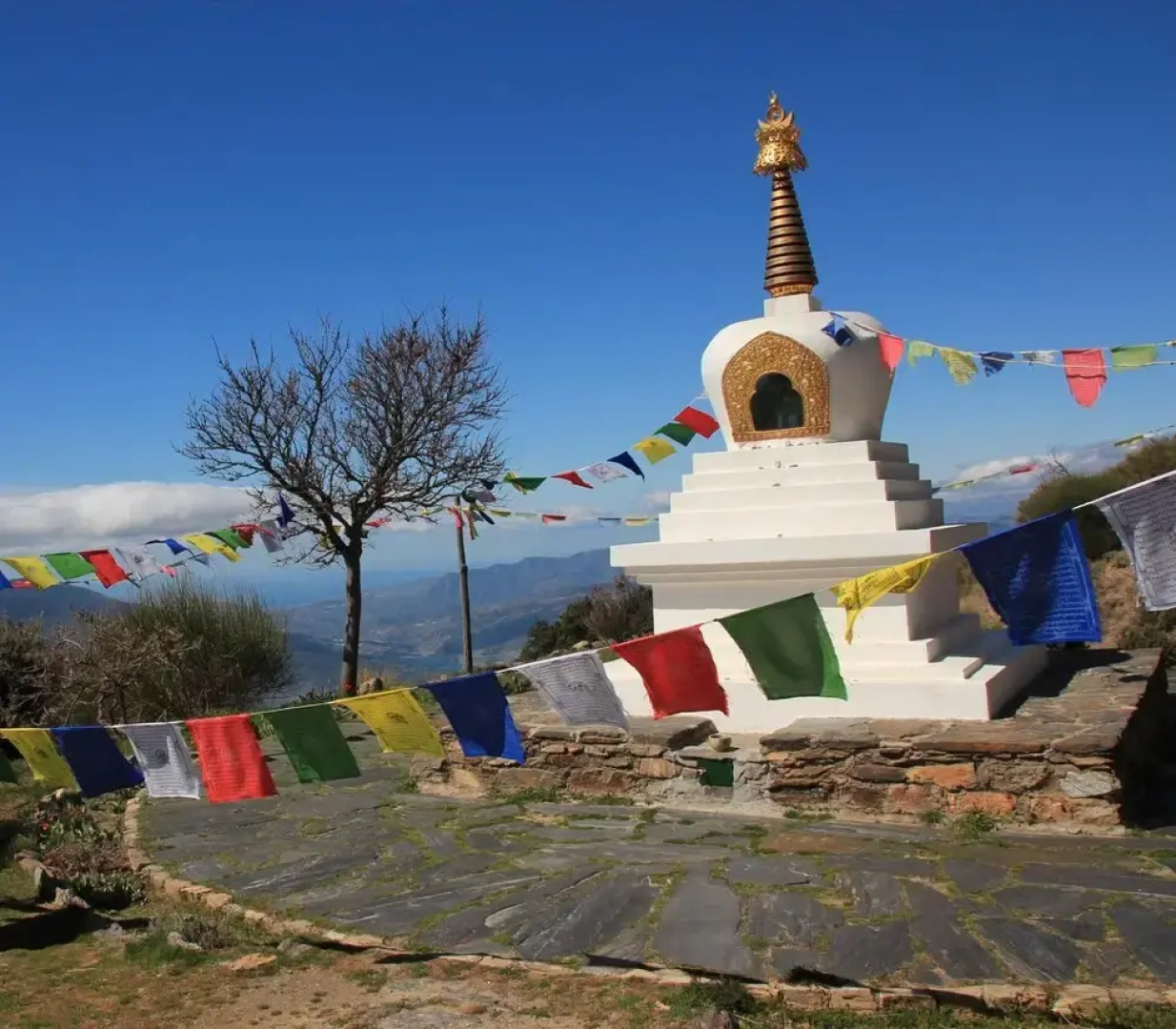 Hostal Las Terrazas de la Alpujarra