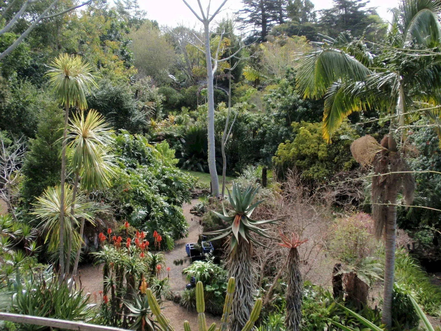 Wharepuke Subtropical Accommodation