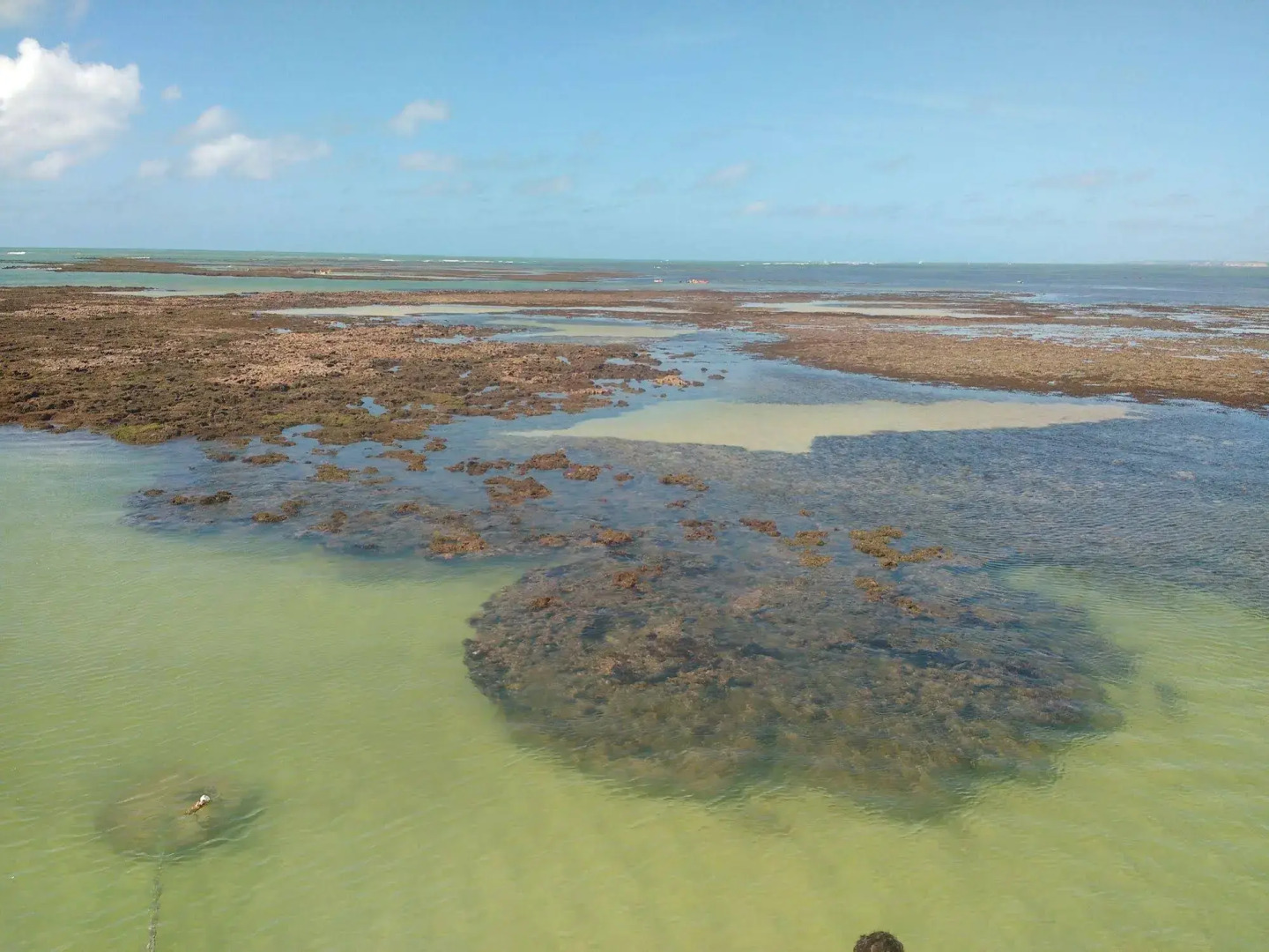 Pousada dos Girassóis