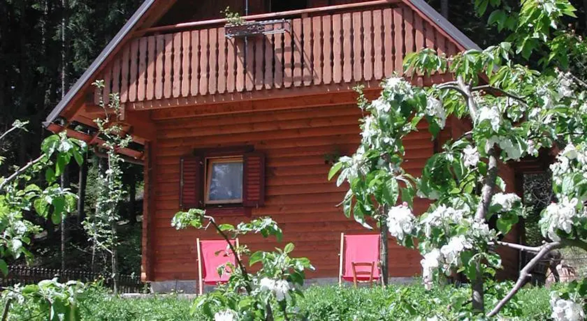 Agriturismo Bosco Di Museis