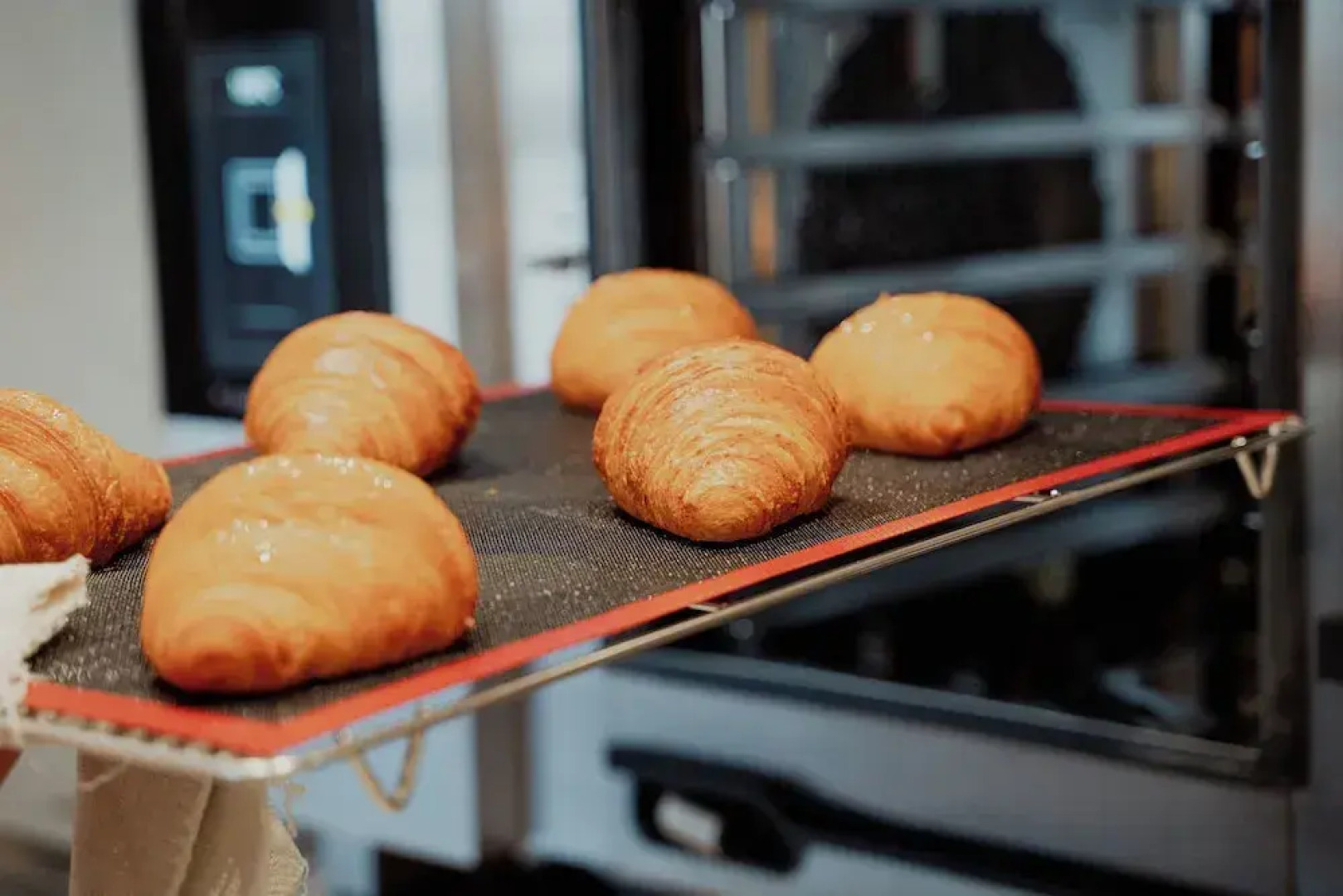 Mostesi Dolomites Spa Hotel