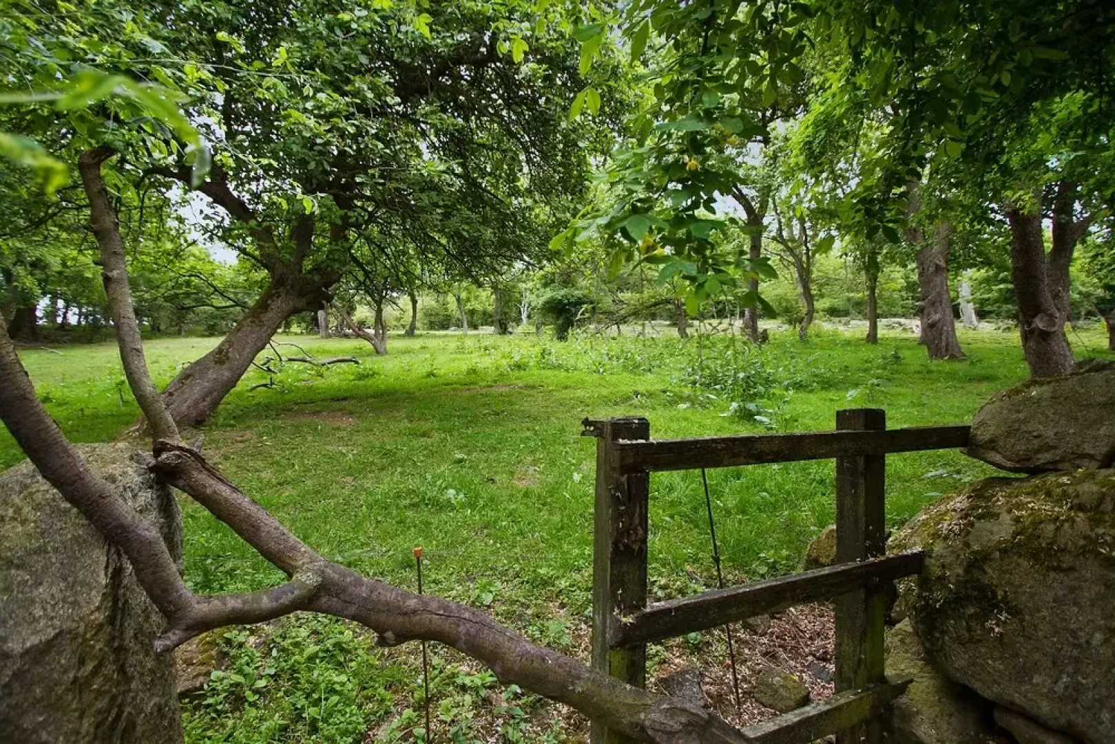 Lehnsgaard Ranch