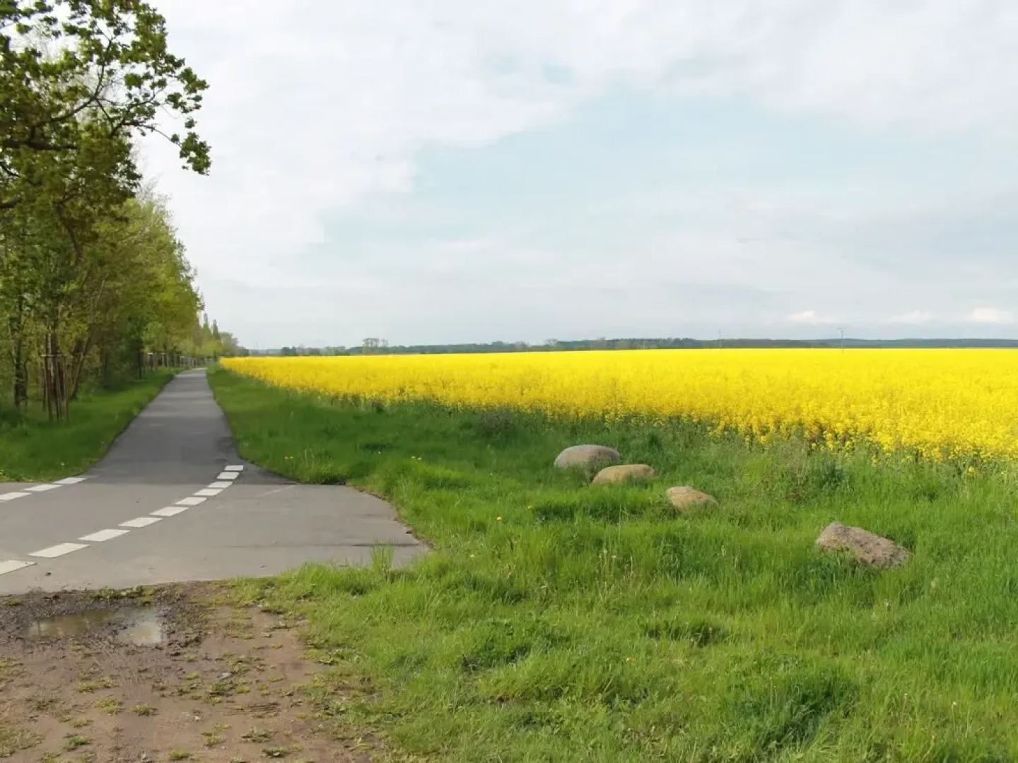 Peaceful Apartment in Steffenshagen Near Sea