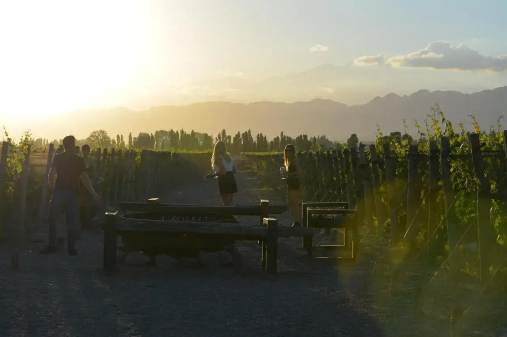 Viamonte Winery Lodge