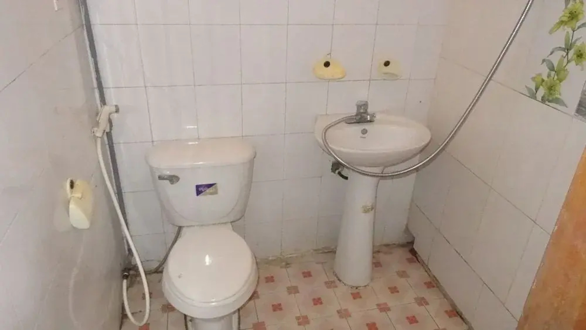 Thanh Chuong Dong Loan Guesthouse