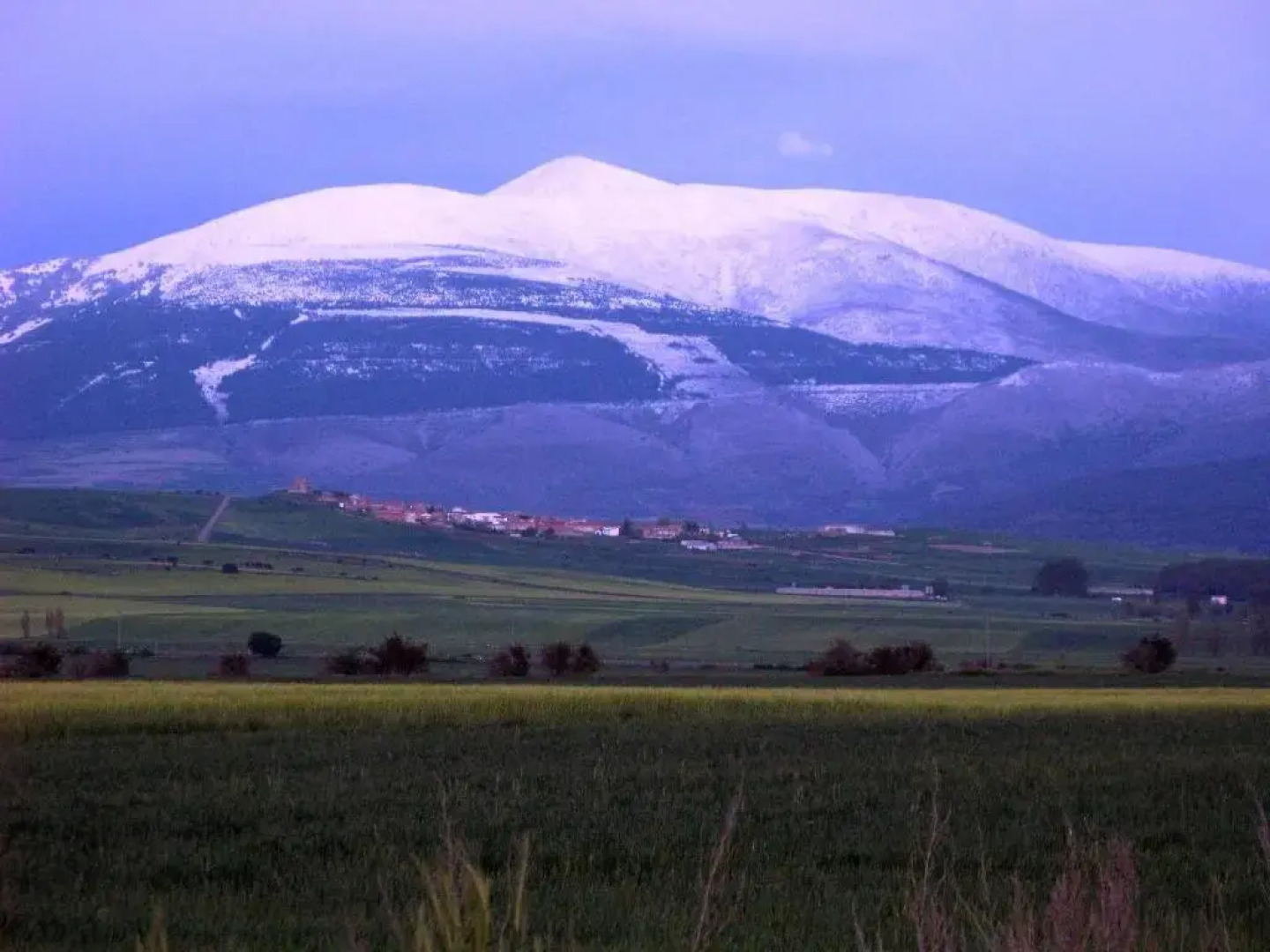 Apartamentos La Dama Azul