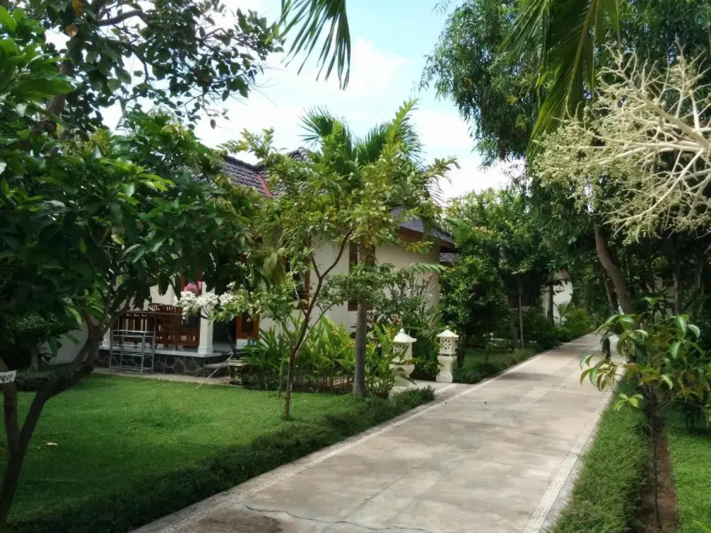 Starlight Hotel Lovina