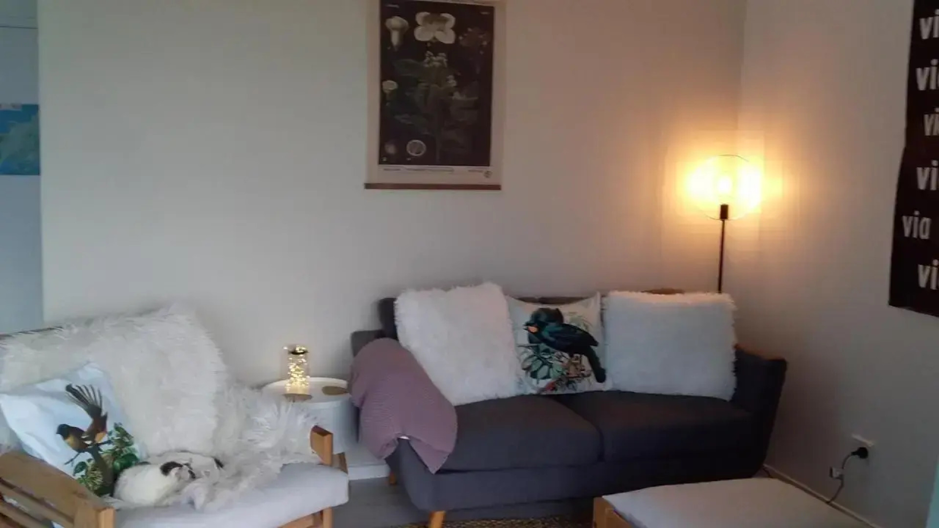 Four Huia (Adults Only)