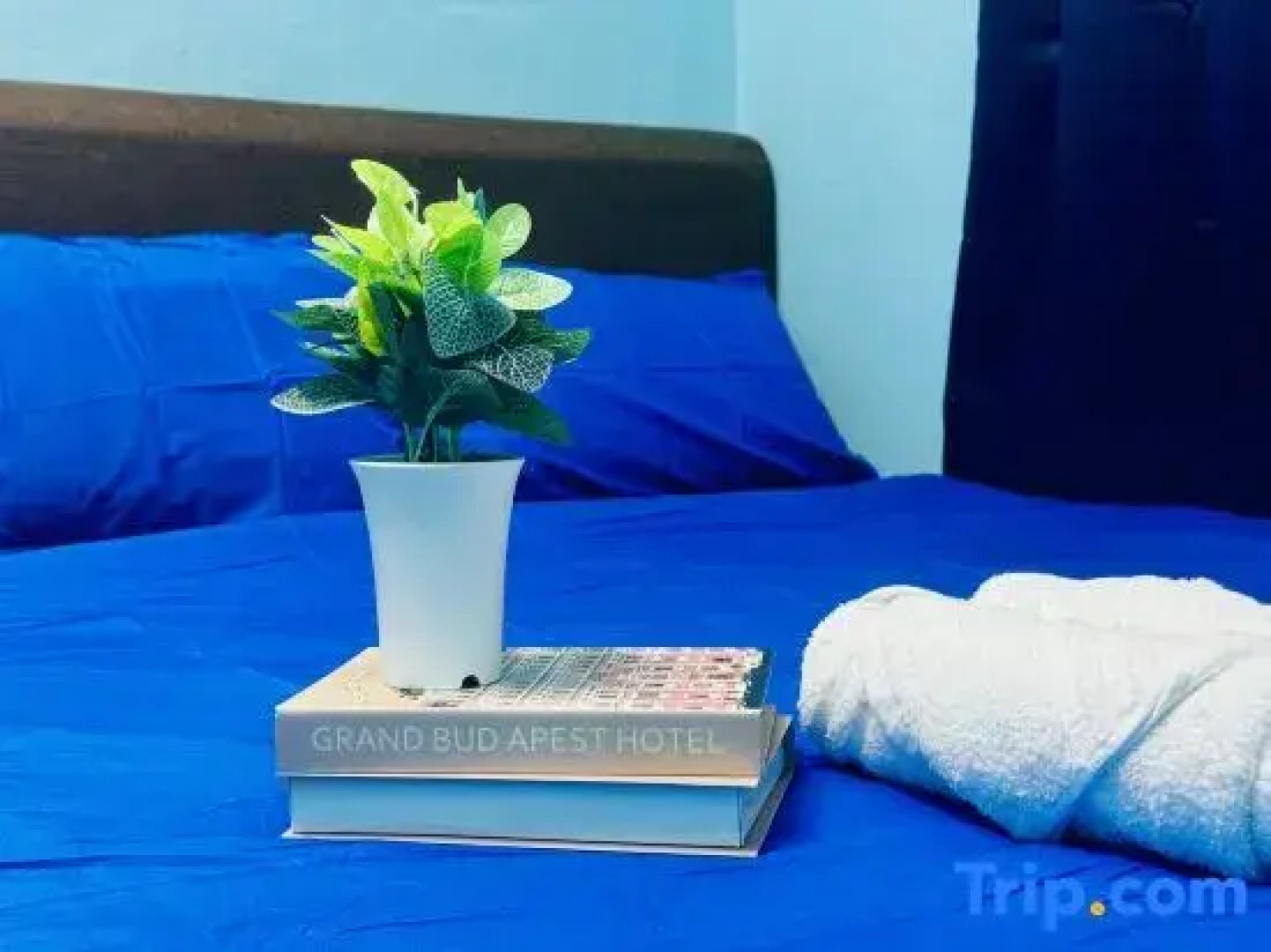 Relax Familystay usm 3BR 2-6 pax