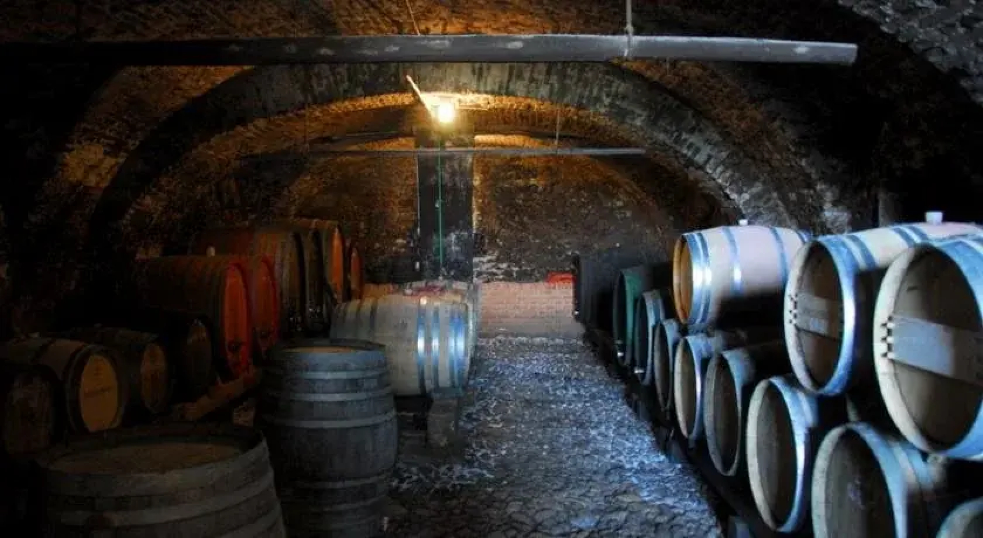 Kultur Weingut Kästenburg