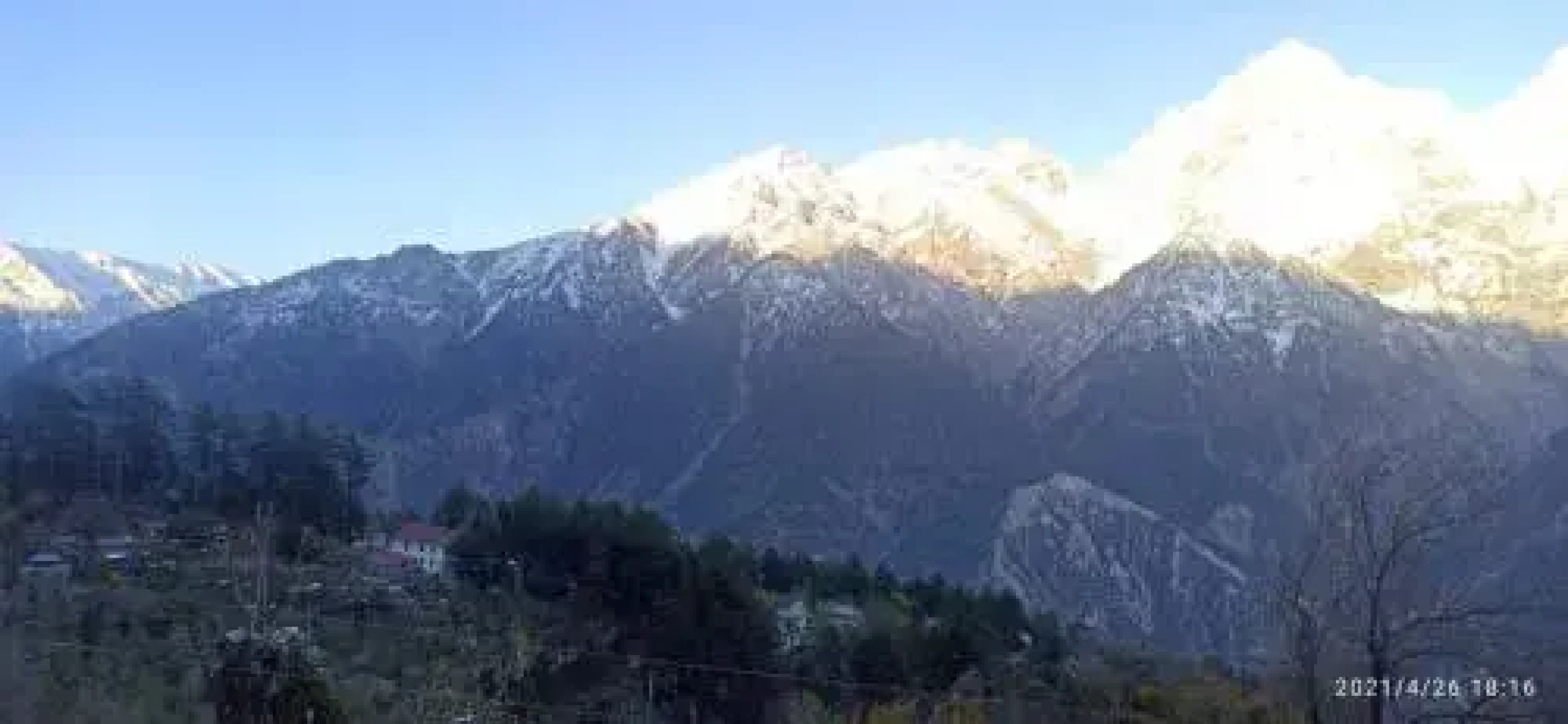 The Monk by Livingstone