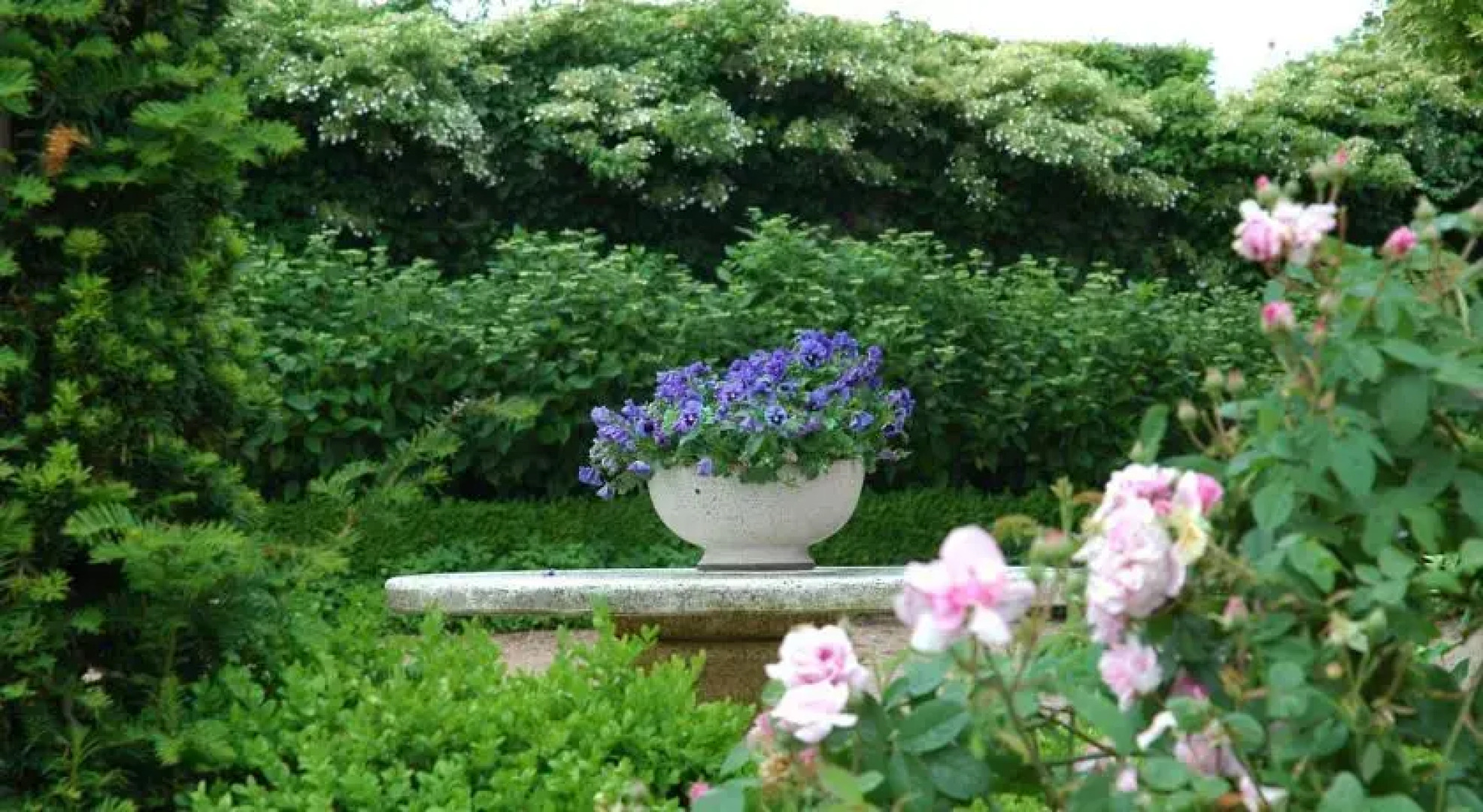 Le Manoir de Presle - Gîte