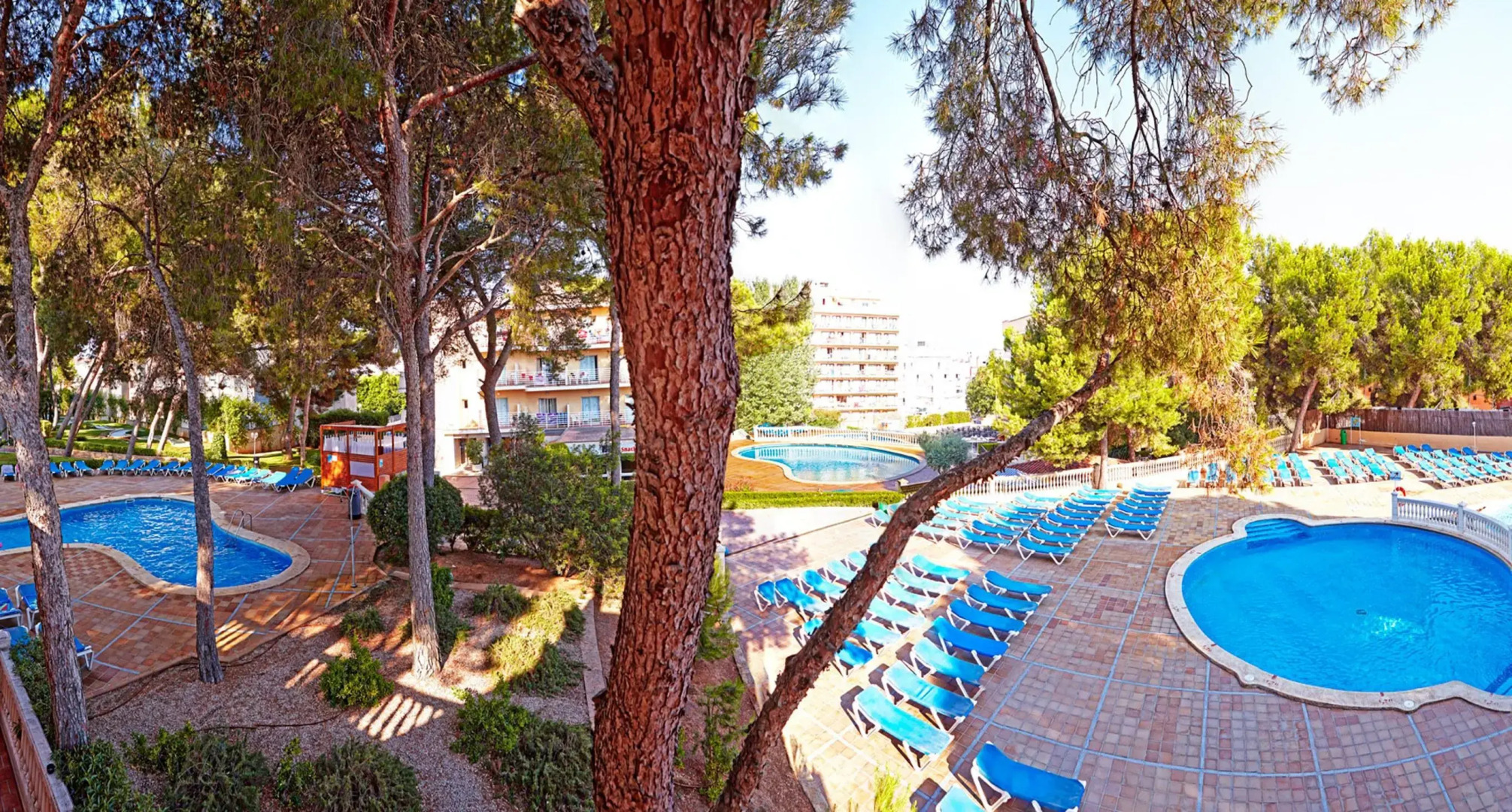 Курортный отель MLL Palma Bay Club