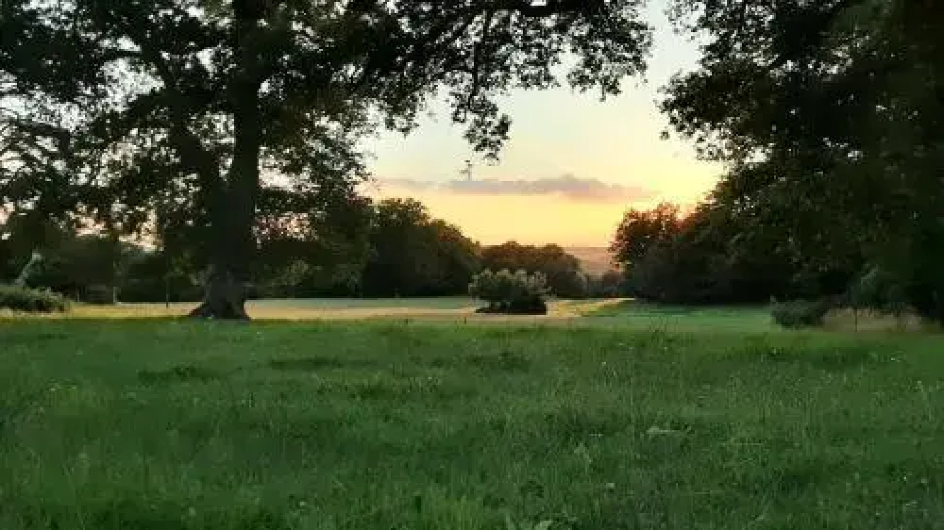 Proche Puy du Fou - Roches Blanches