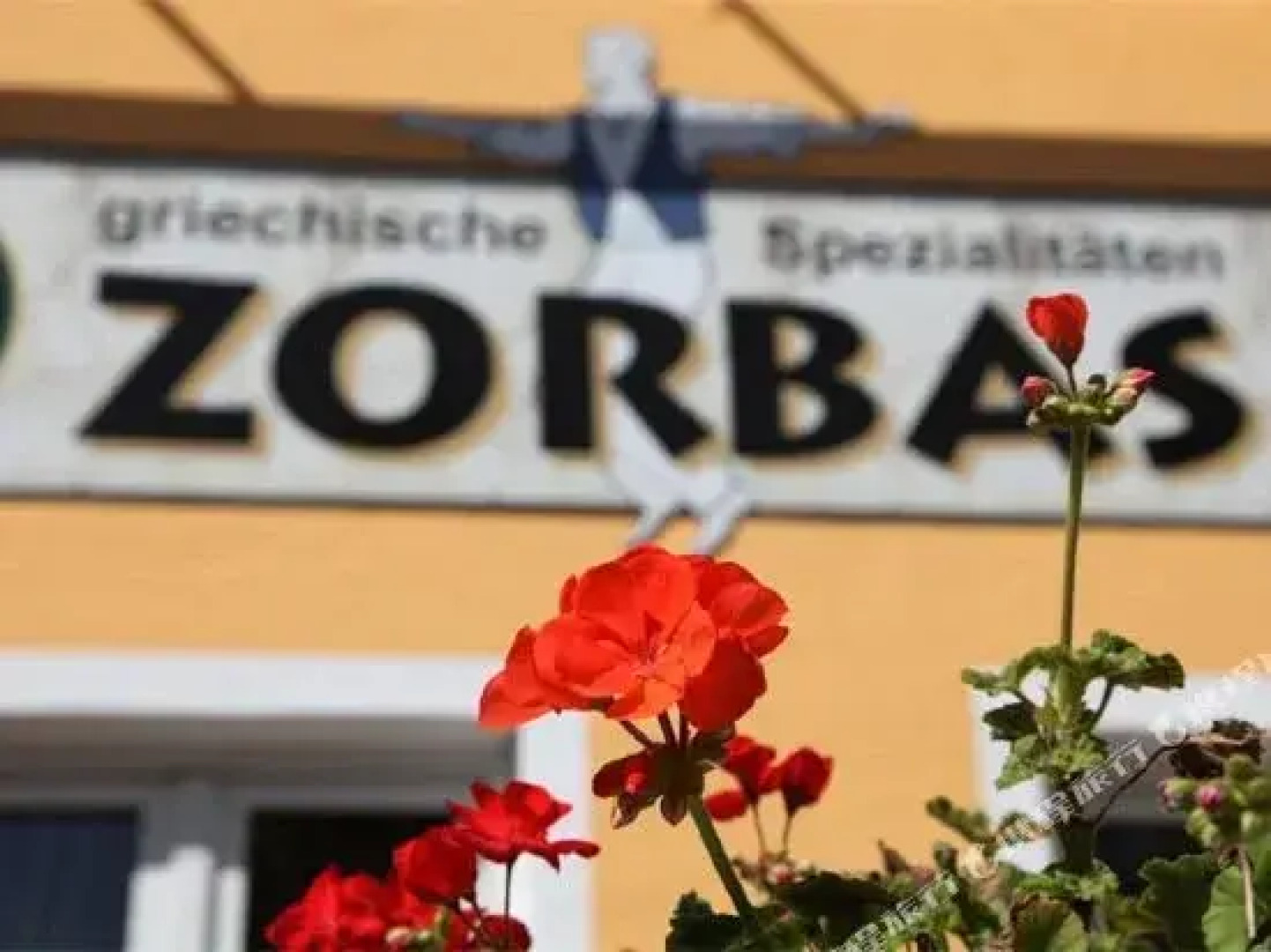 Zorbas
