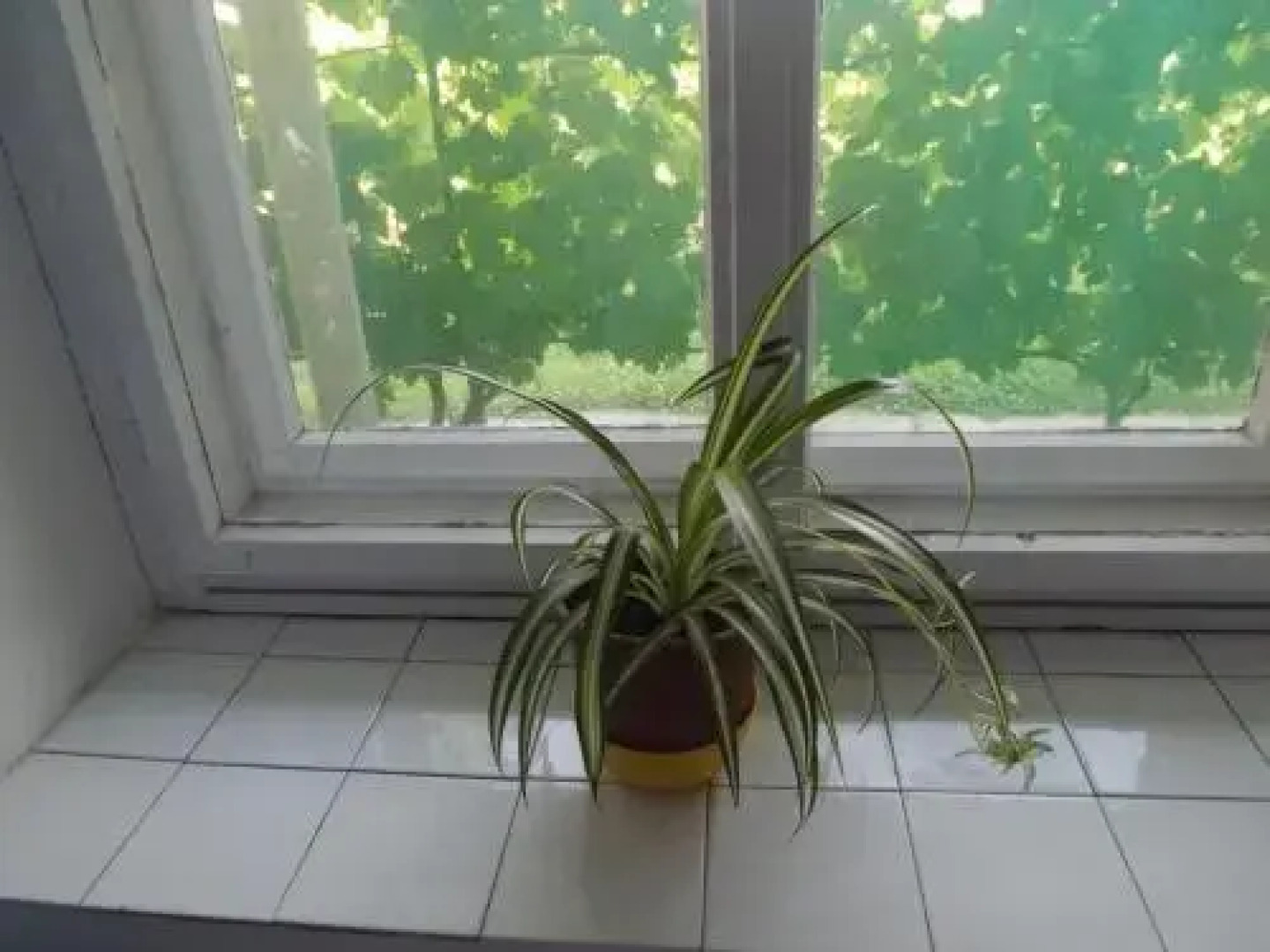 Családi Vendégház