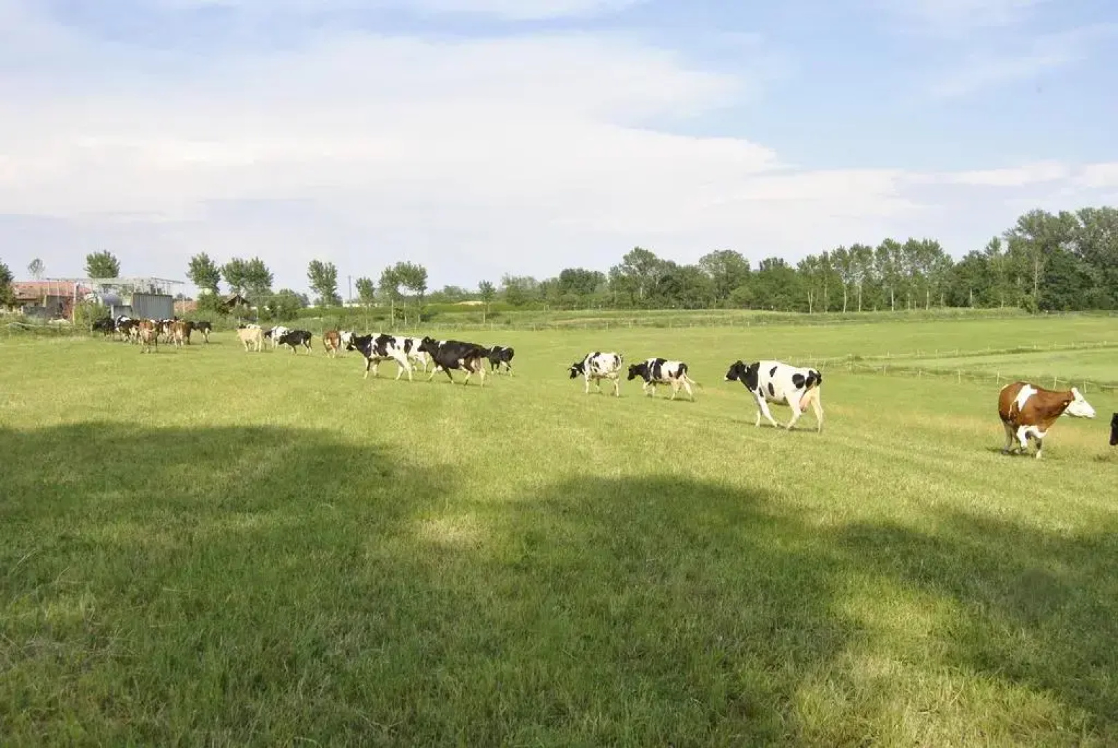Agriturismo Cascina Selva
