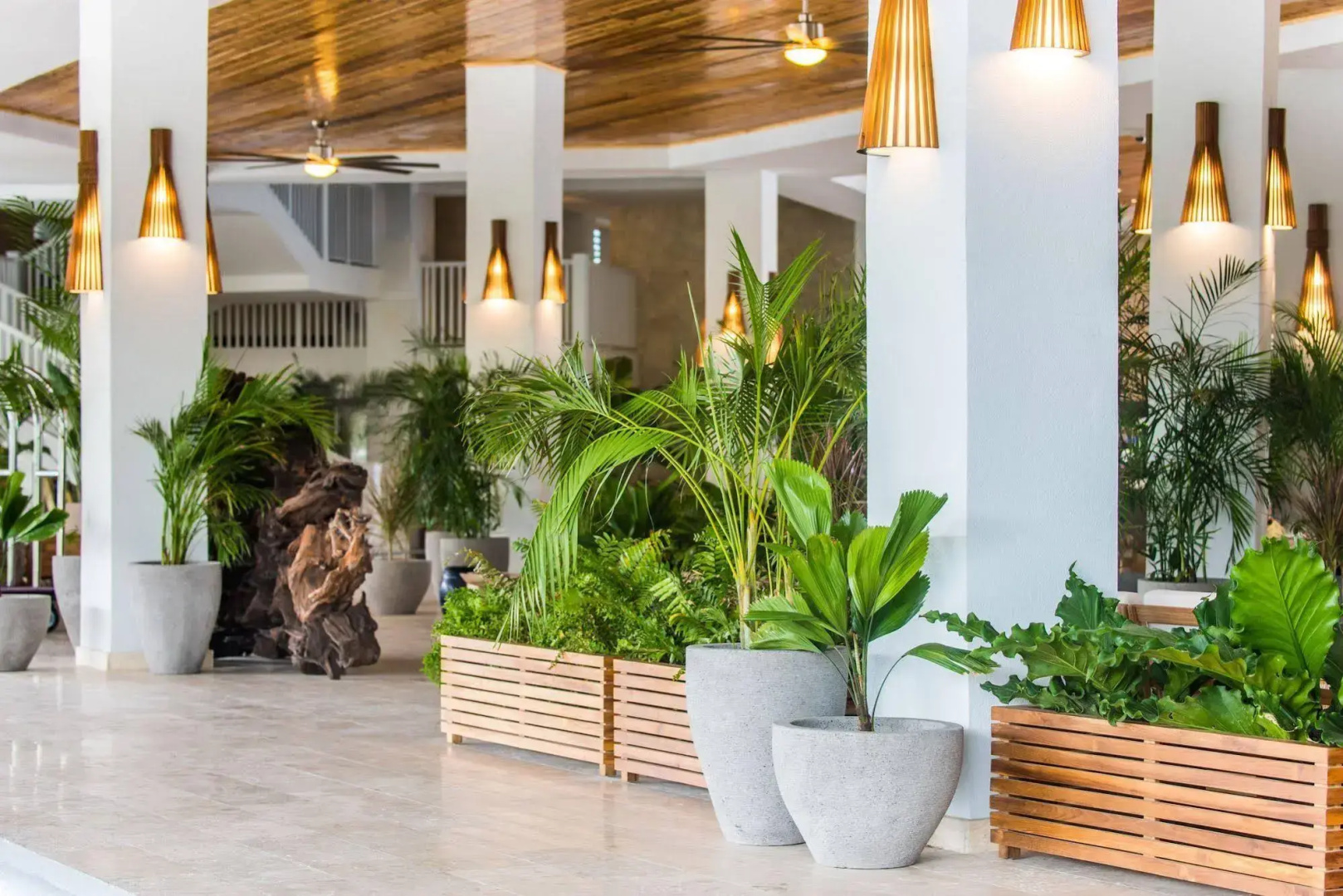 Margaritaville Beach Resort Grand Cayman