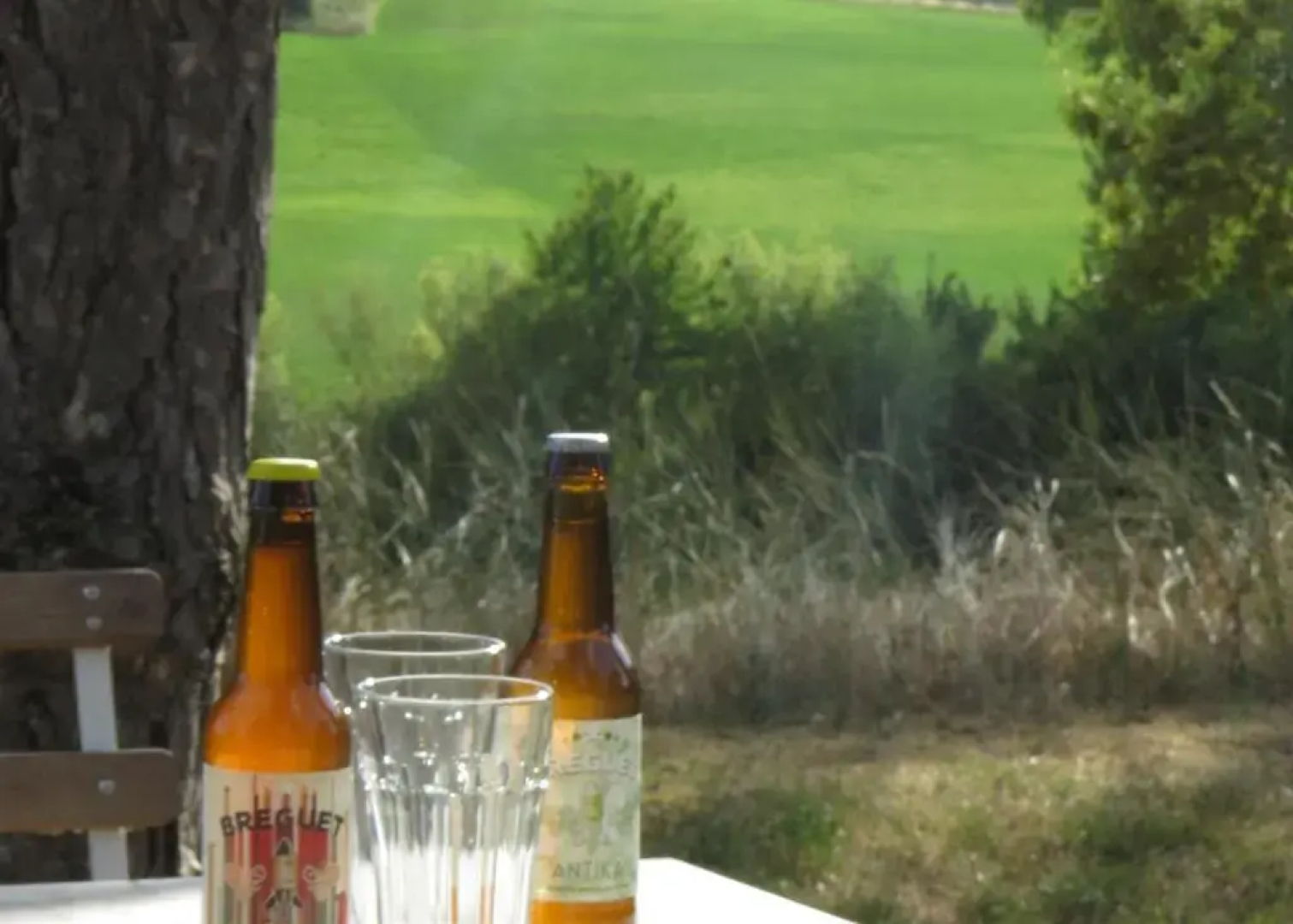 Nature's Pace Holidays