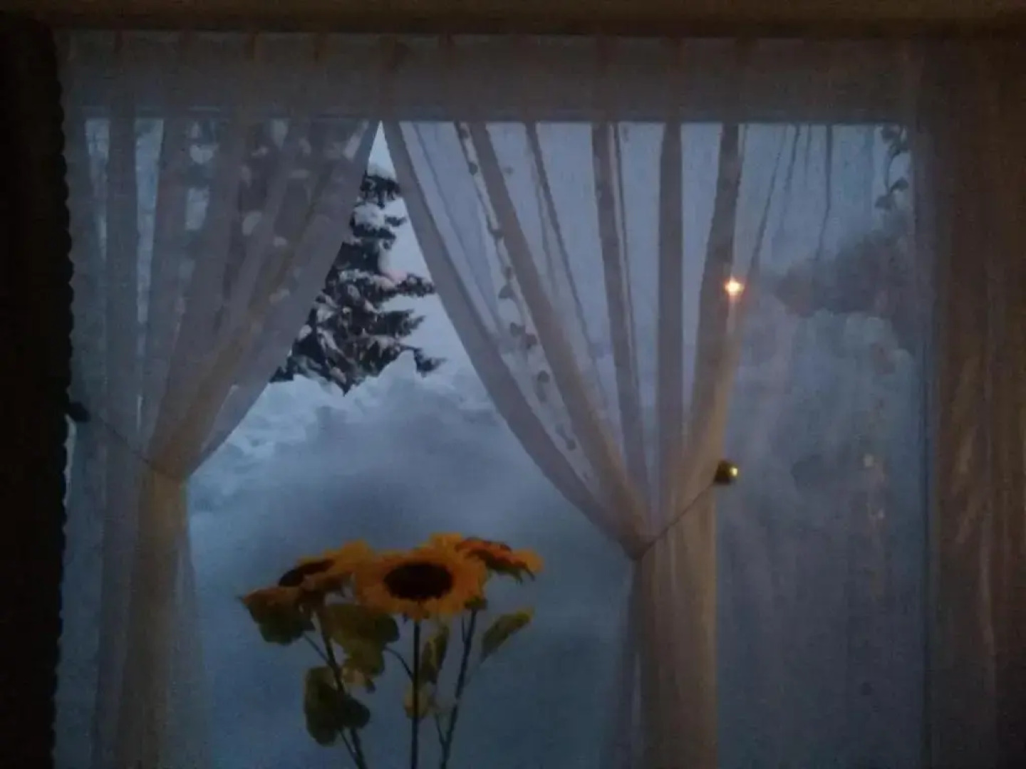 Tina Studio Apartment