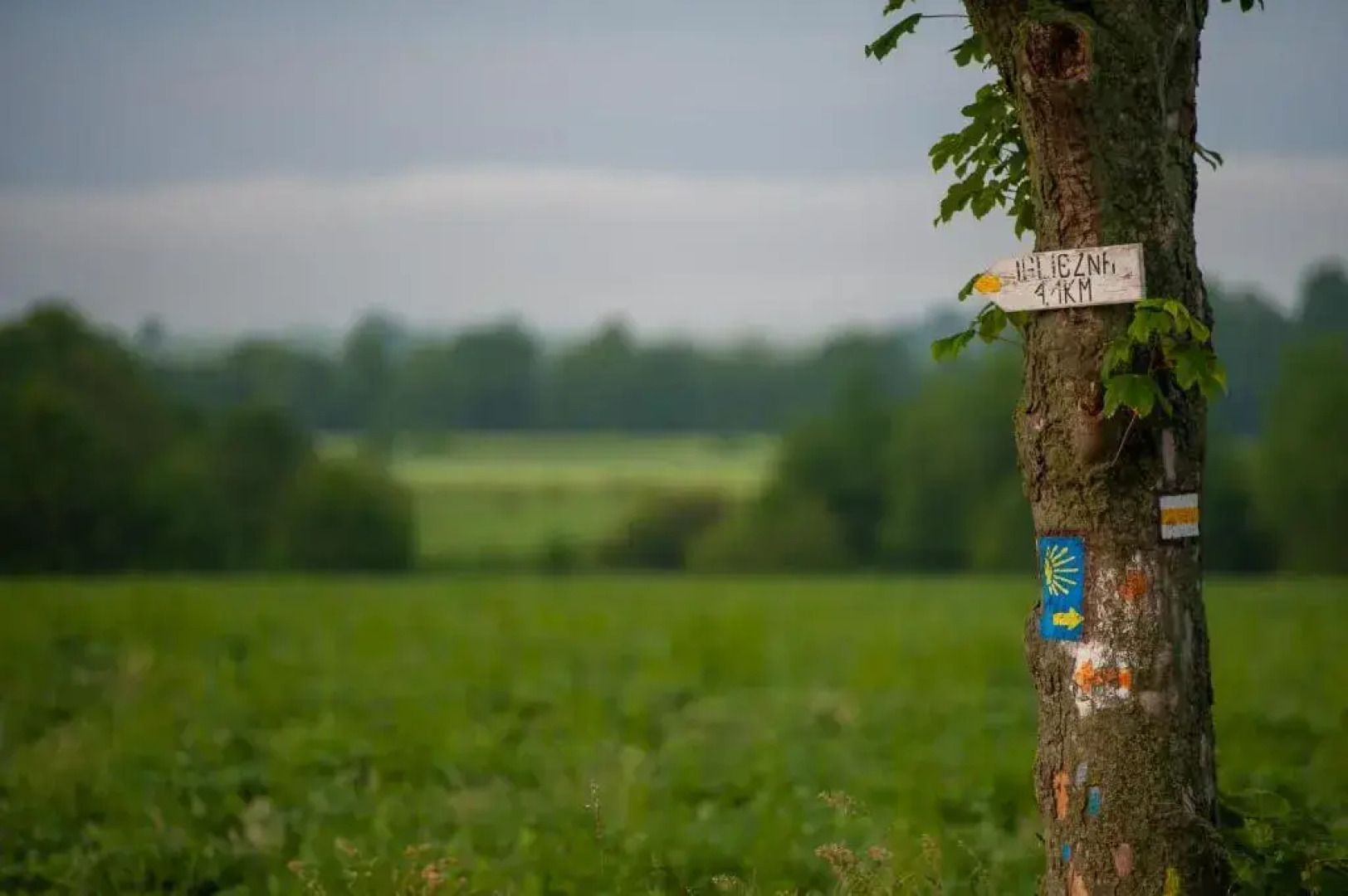 Sorrento Osrodek Wczasowy