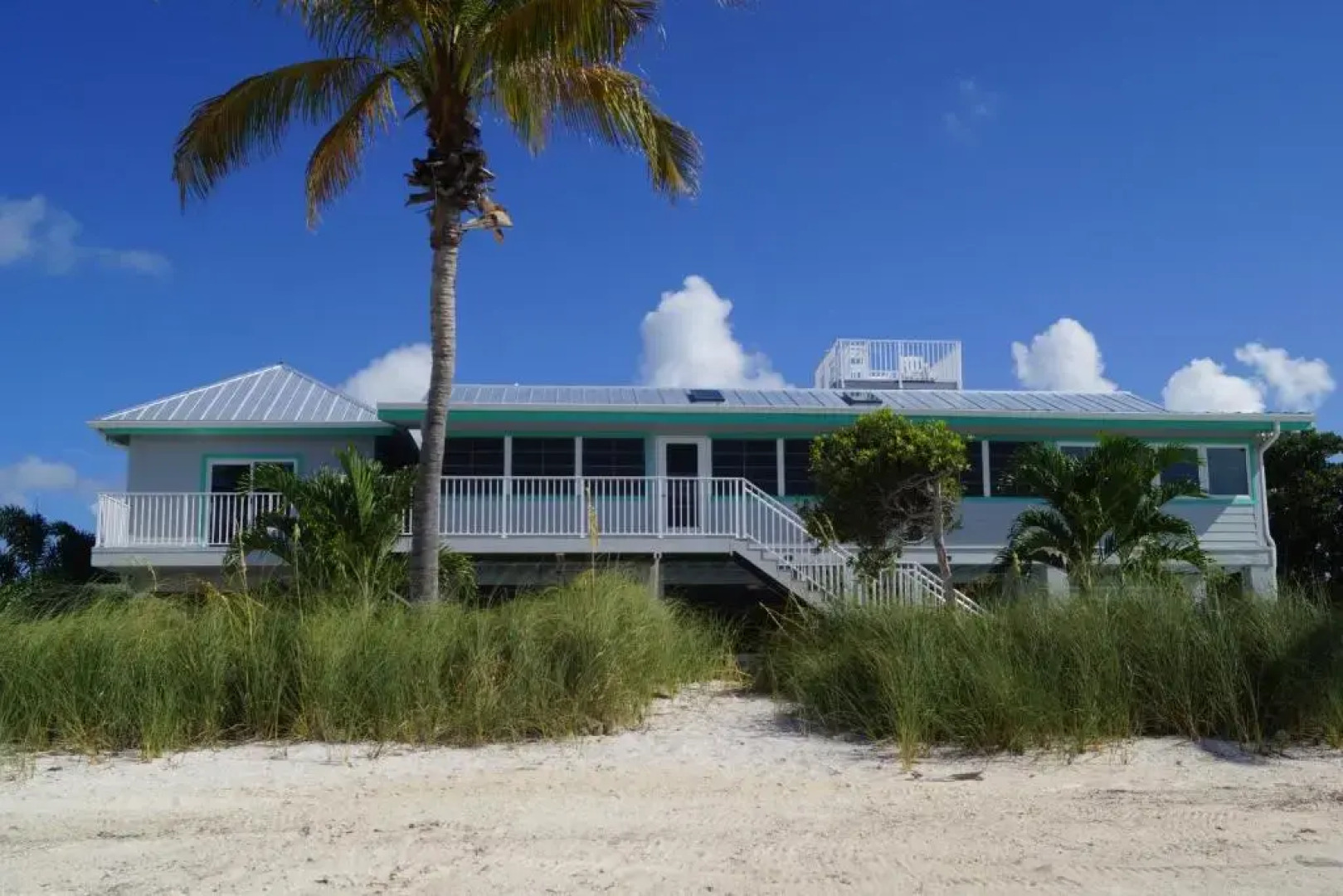 Deer Run on the Atlantic