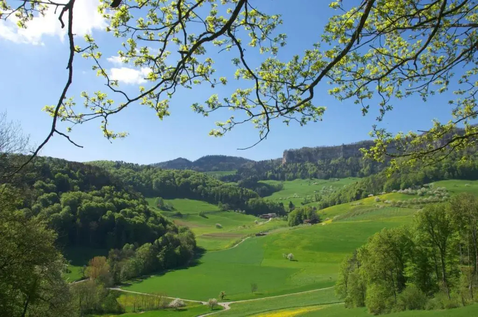 Bad Ramsach Quellhotel